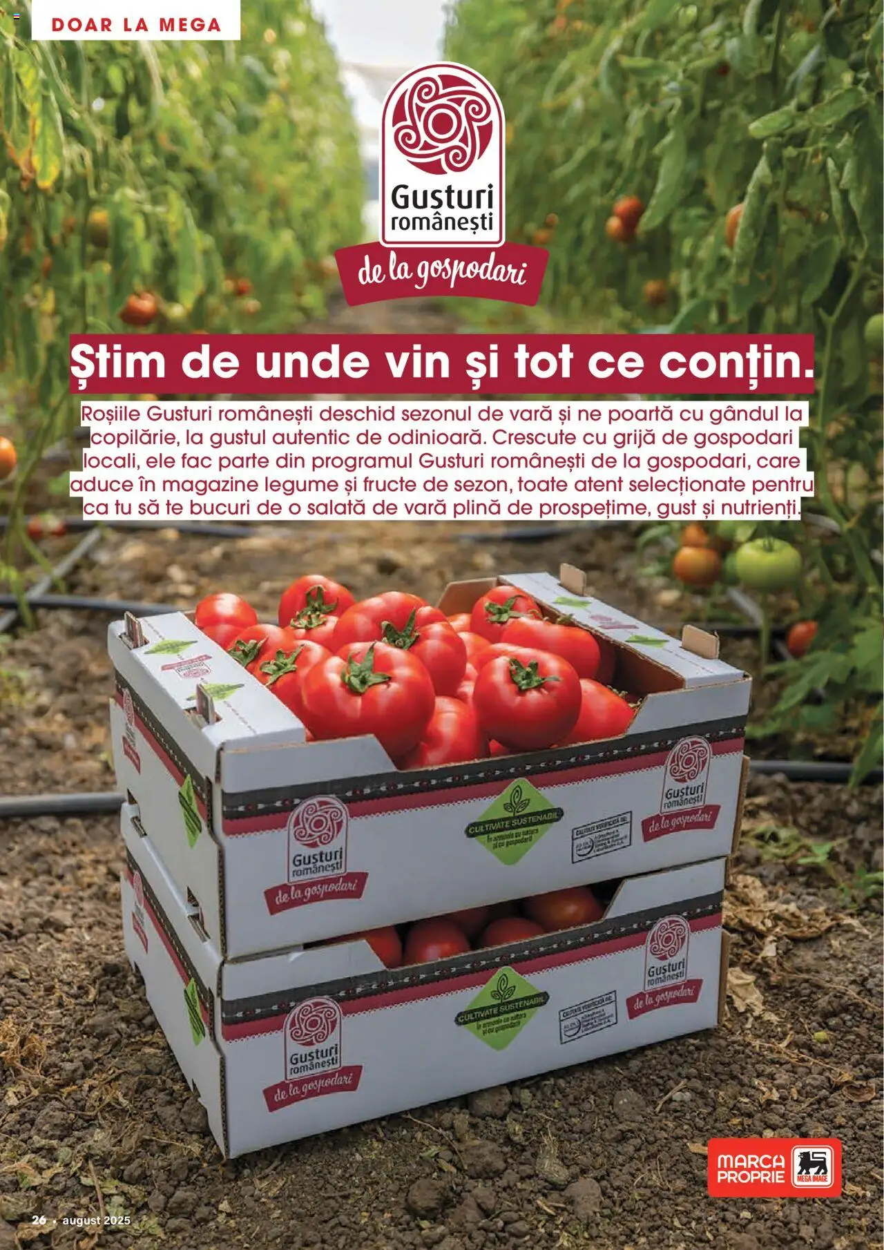 Catalog Mega Image 31 Iulie - 25 August 2025 | Pagina 26 | Produse: Vin, Salată, Legume, Fructe