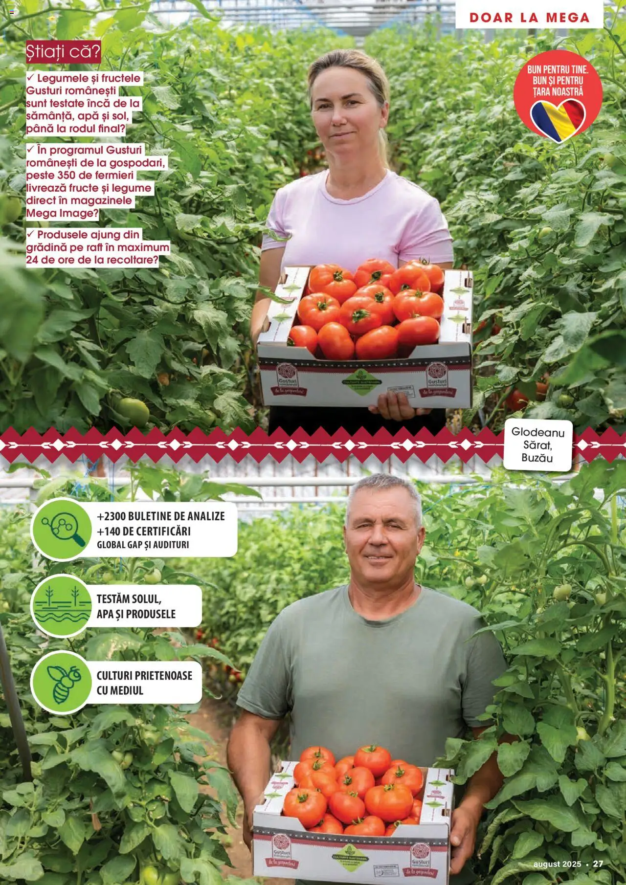 Catalog Mega Image 31 Iulie - 25 August 2025 | Pagina 27 | Produse: Raft, Pește, Apă, Legume