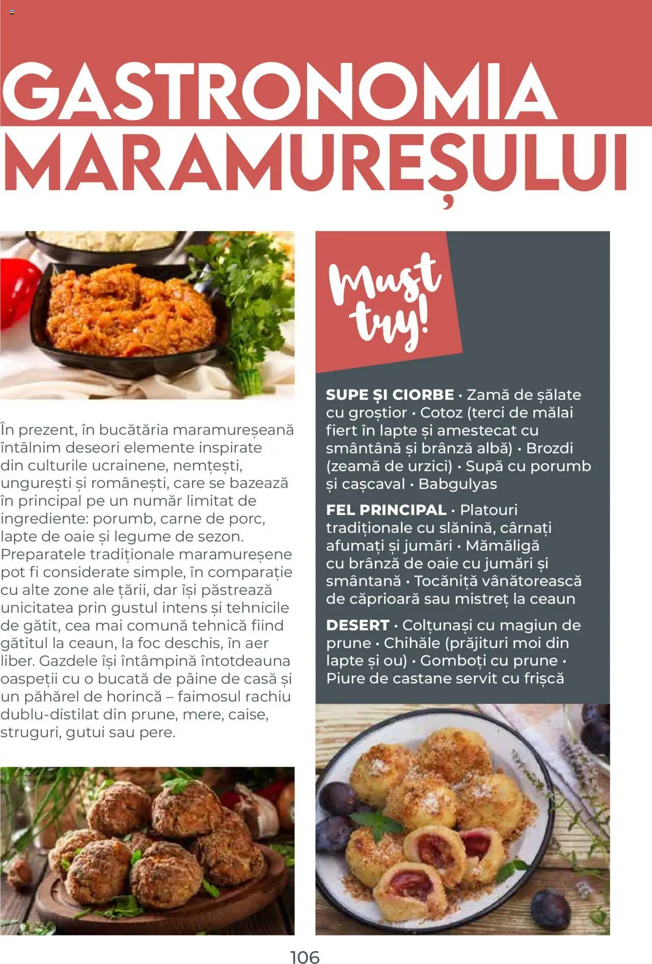 Catalog METRO 1 August 2025 - 30 Decembrie 2026 | Pagina 106 | Produse: Cașcaval, Frișcă, Prune, Smântână