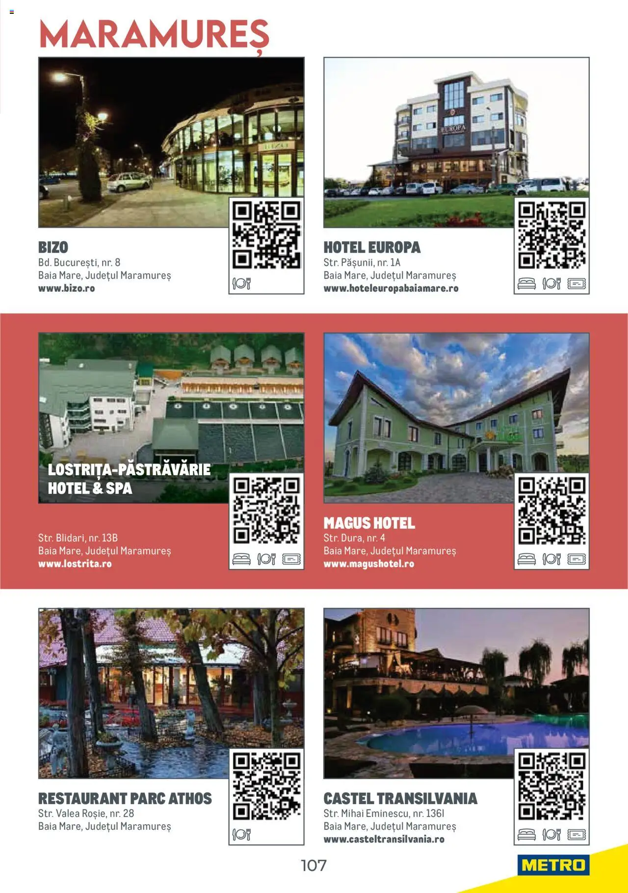 Catalog METRO 1 August 2025 - 30 Decembrie 2026 | Pagina 107