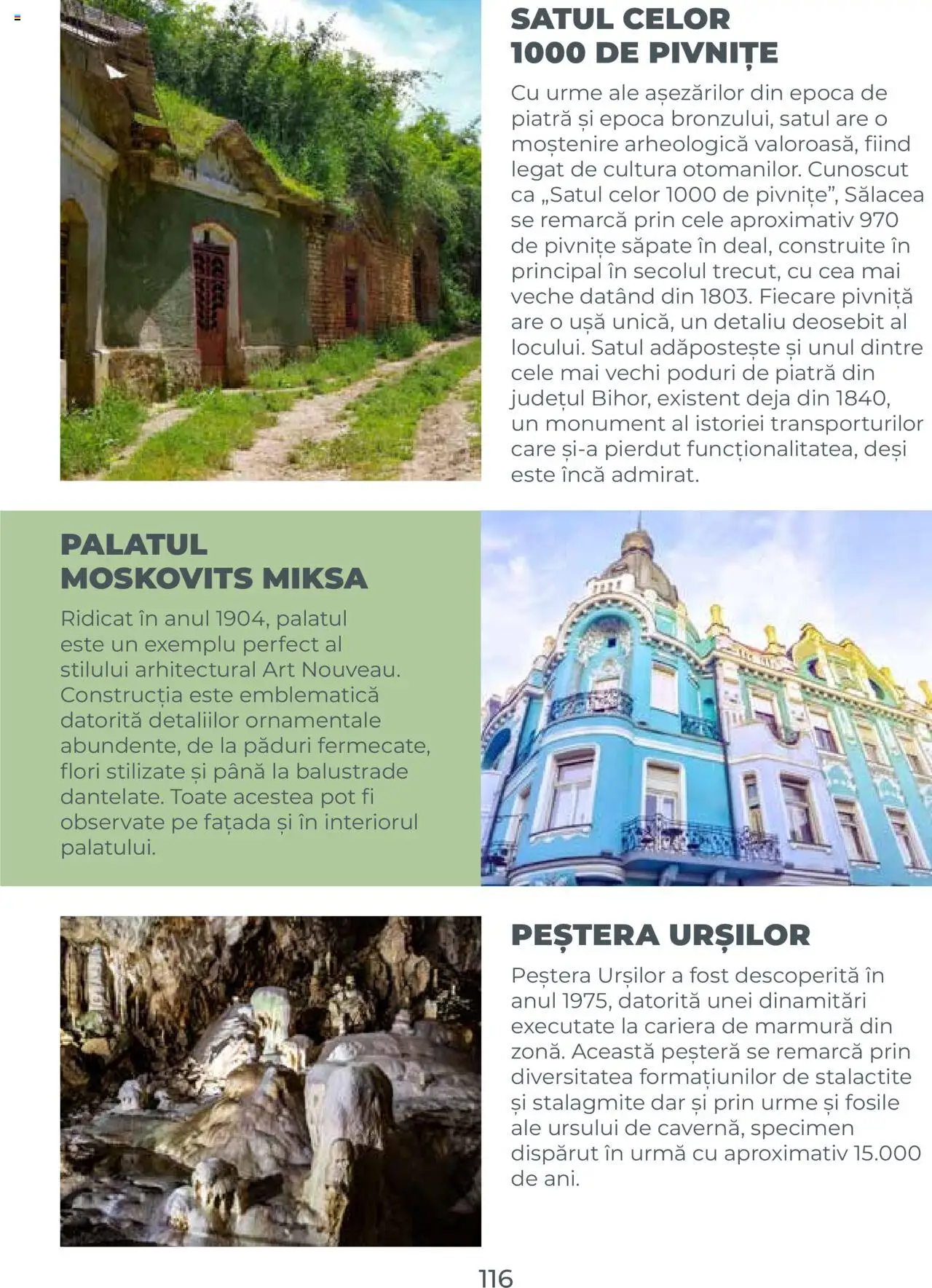 Catalog METRO 1 August 2025 - 30 Decembrie 2026 | Pagina 116 | Produse: Ușă