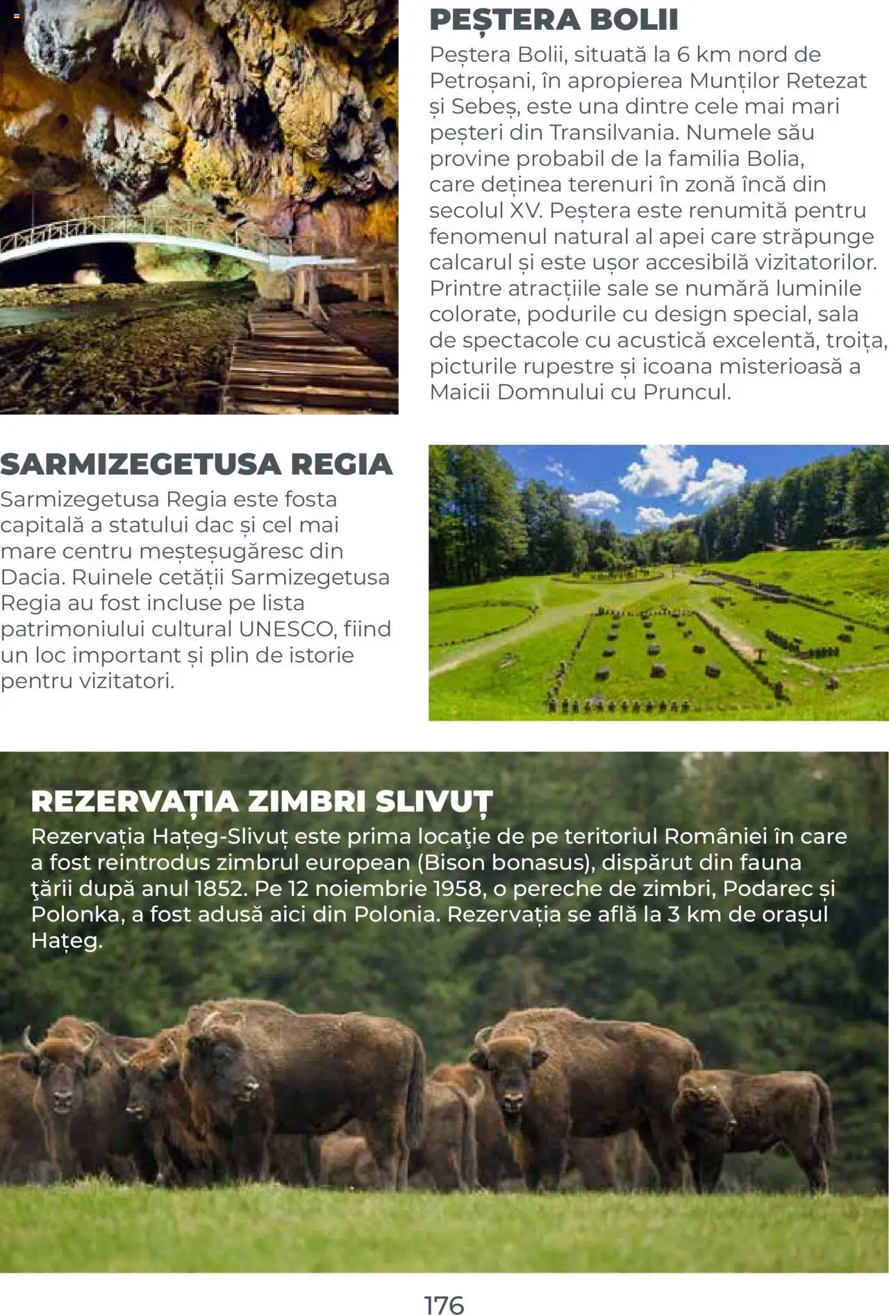 Catalog METRO 1 August 2025 - 30 Decembrie 2026 | Pagina 176