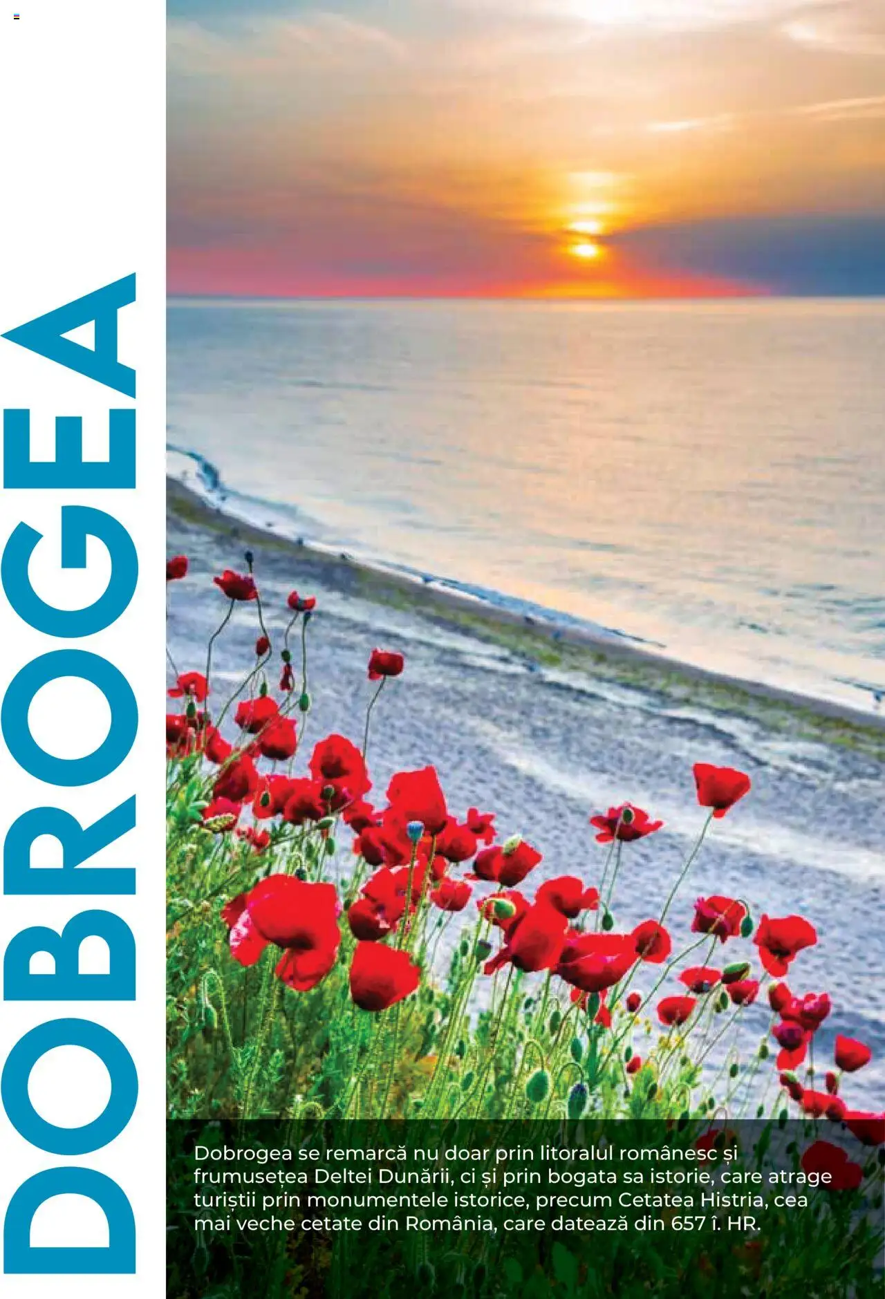 Catalog METRO 1 August 2025 - 30 Decembrie 2026 | Pagina 54