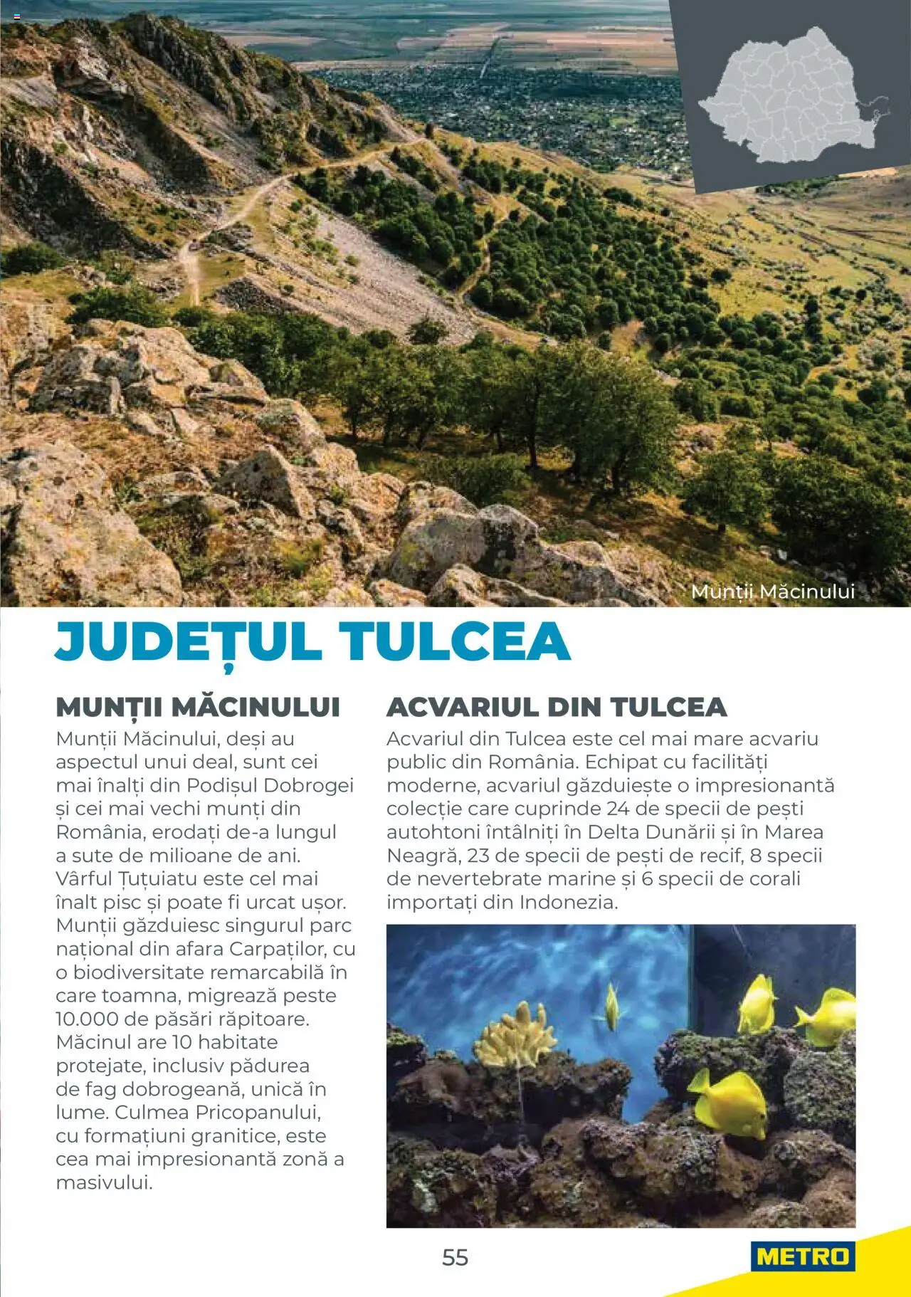 Catalog METRO 1 August 2025 - 30 Decembrie 2026 | Pagina 55 | Produse: Pește