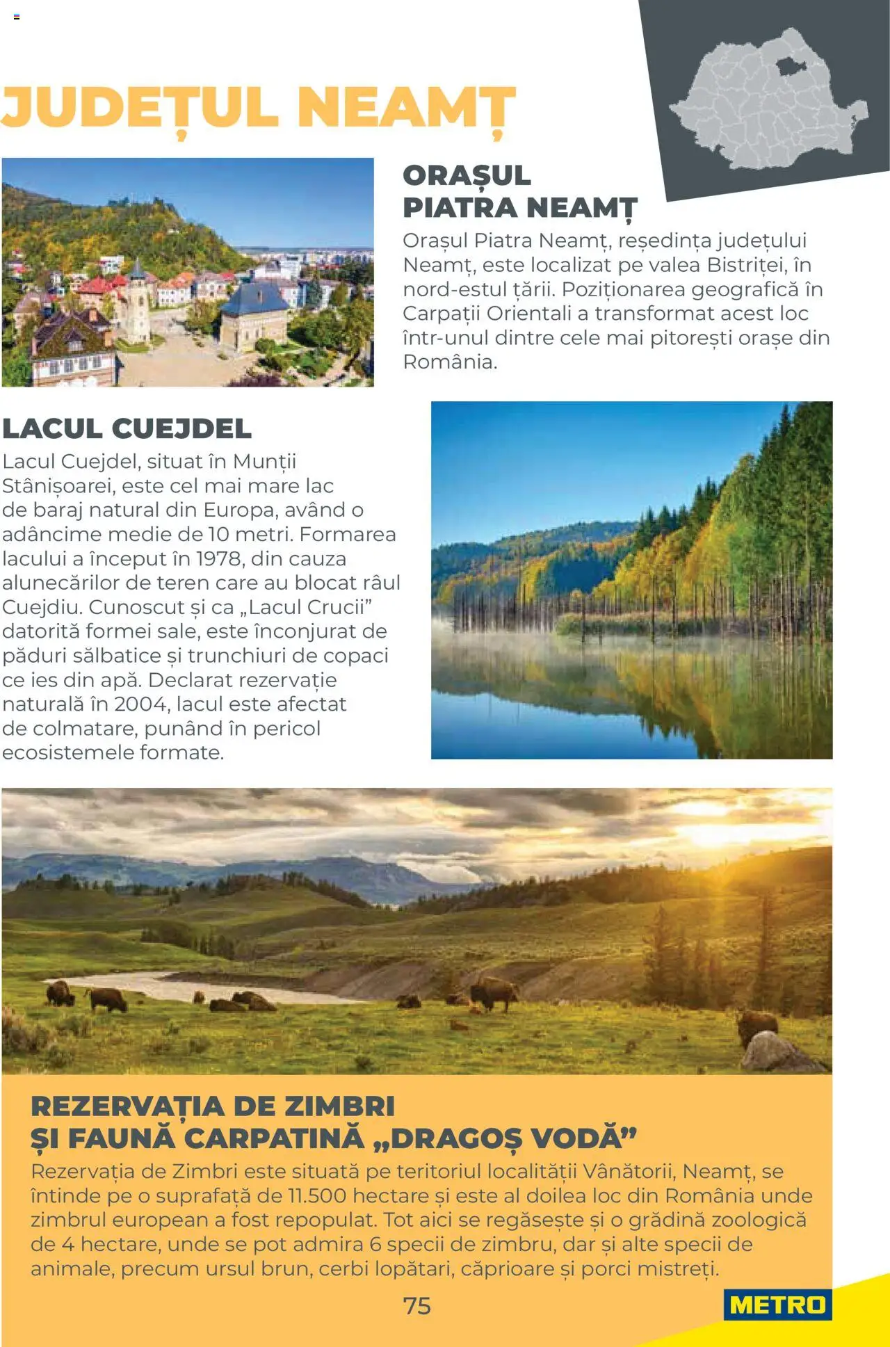 Catalog METRO 1 August 2025 - 30 Decembrie 2026 | Pagina 75