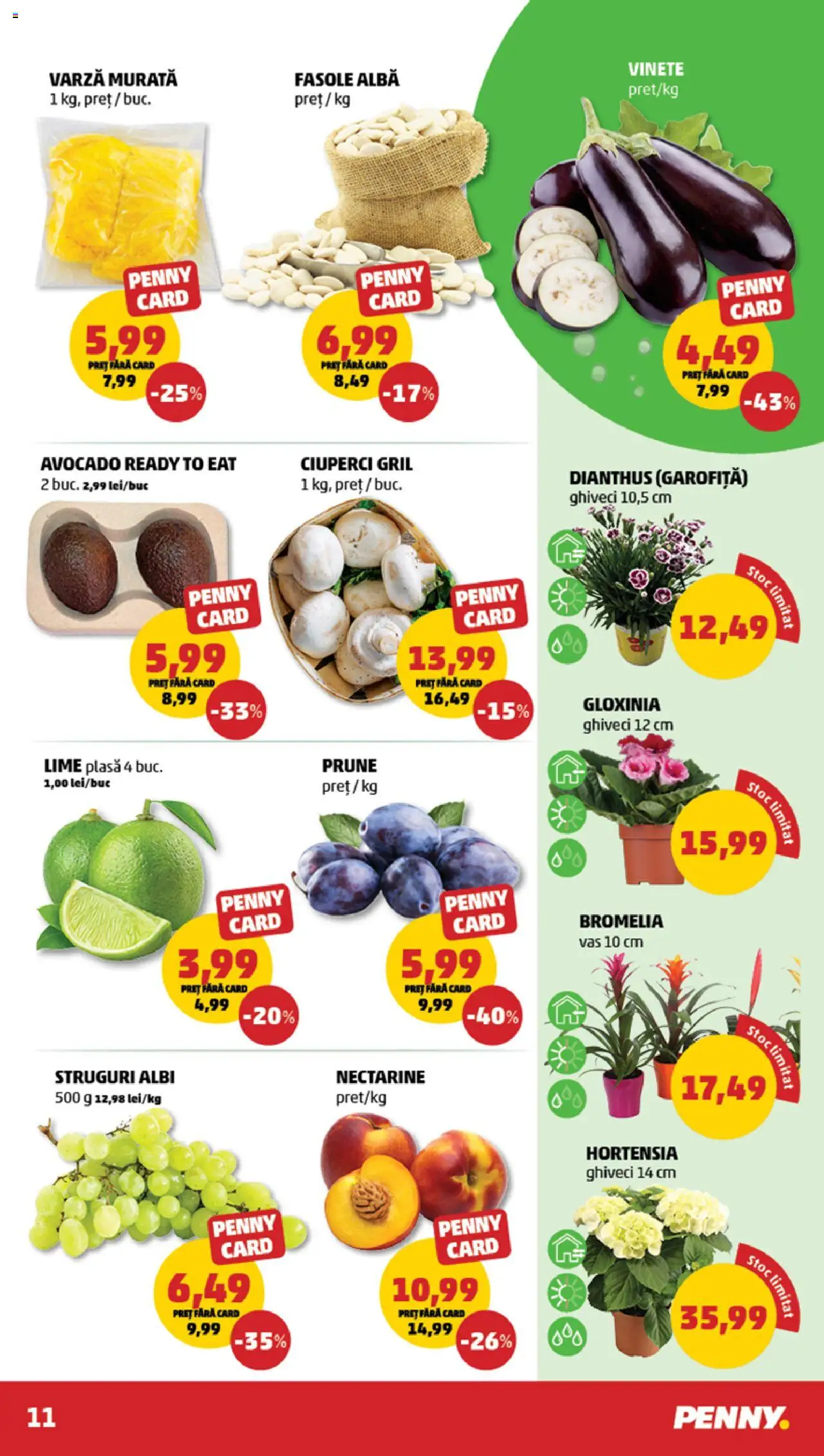 Catalog PENNY Market 6 - 11 August 2025 | Pagina 11 | Produse: Lime, Struguri, Temizlik kovası, Fasole albă