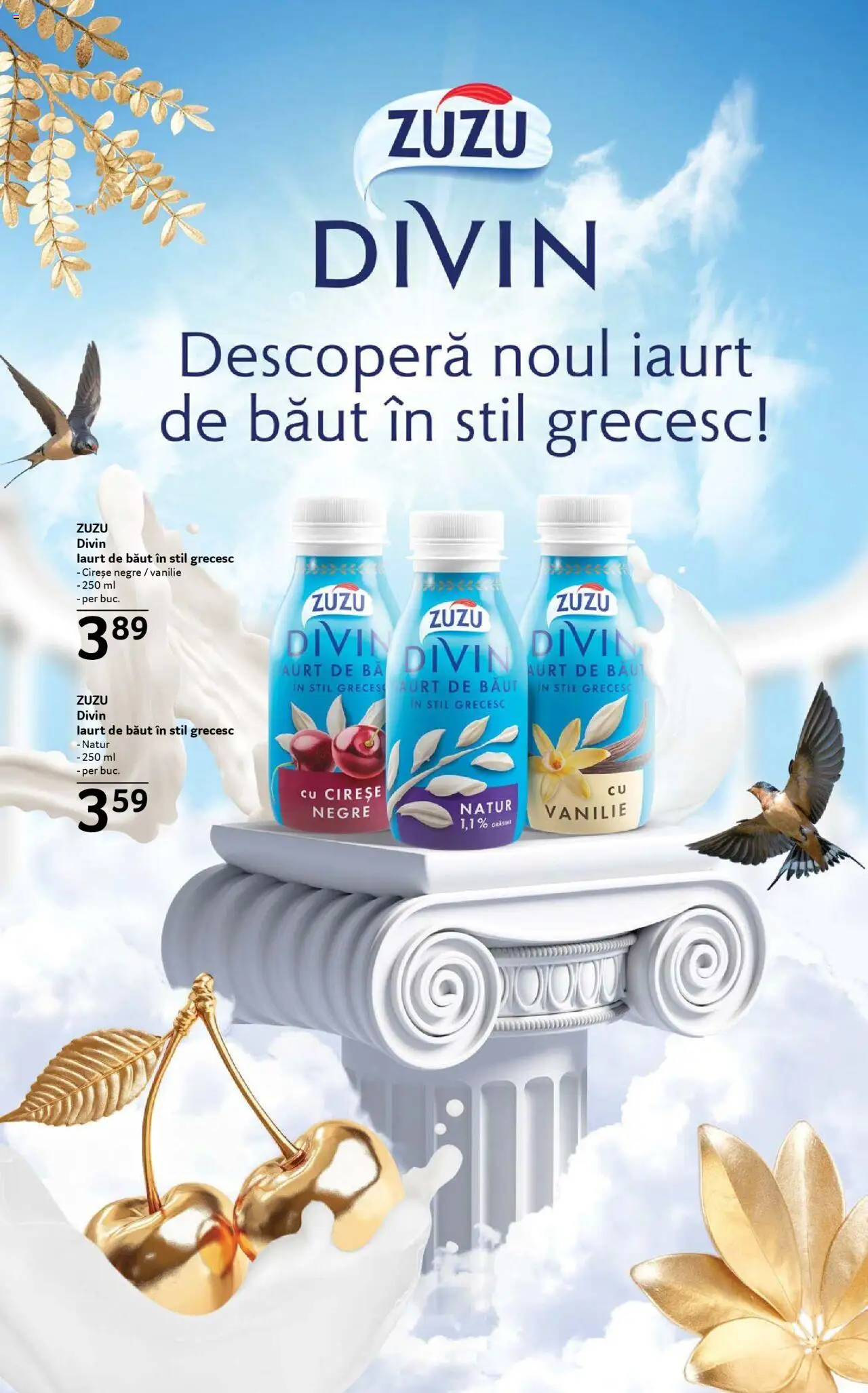 Catalog Selgros 8 - 20 August 2025 | Pagina 13 | Produse: Iaurt, Cireșe