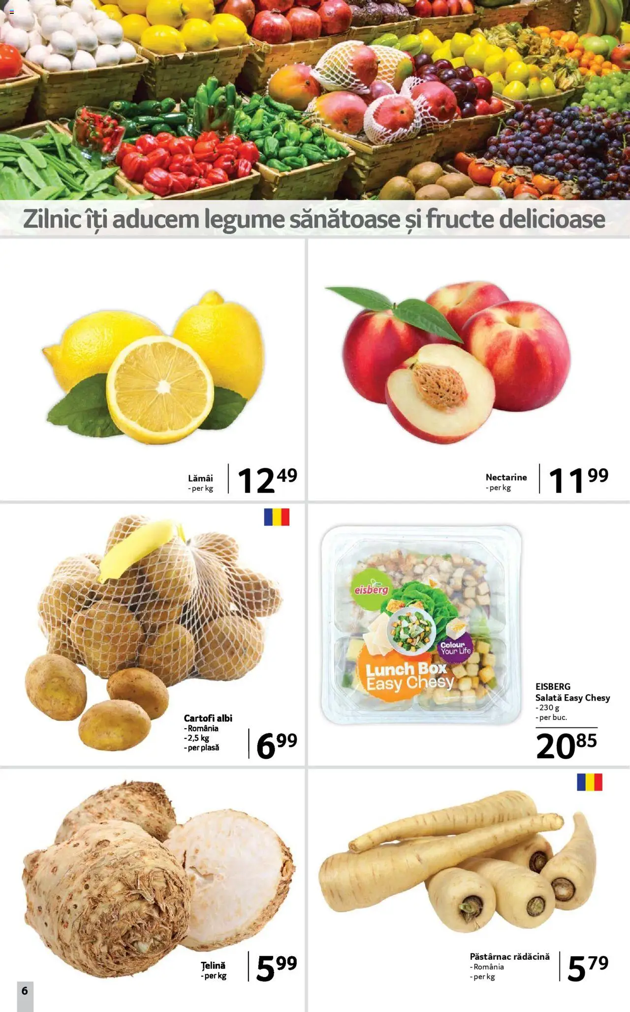 Catalog Selgros 8 - 20 August 2025 | Pagina 6 | Produse: Temizlik kovası, Țelină, Legume, Fructe