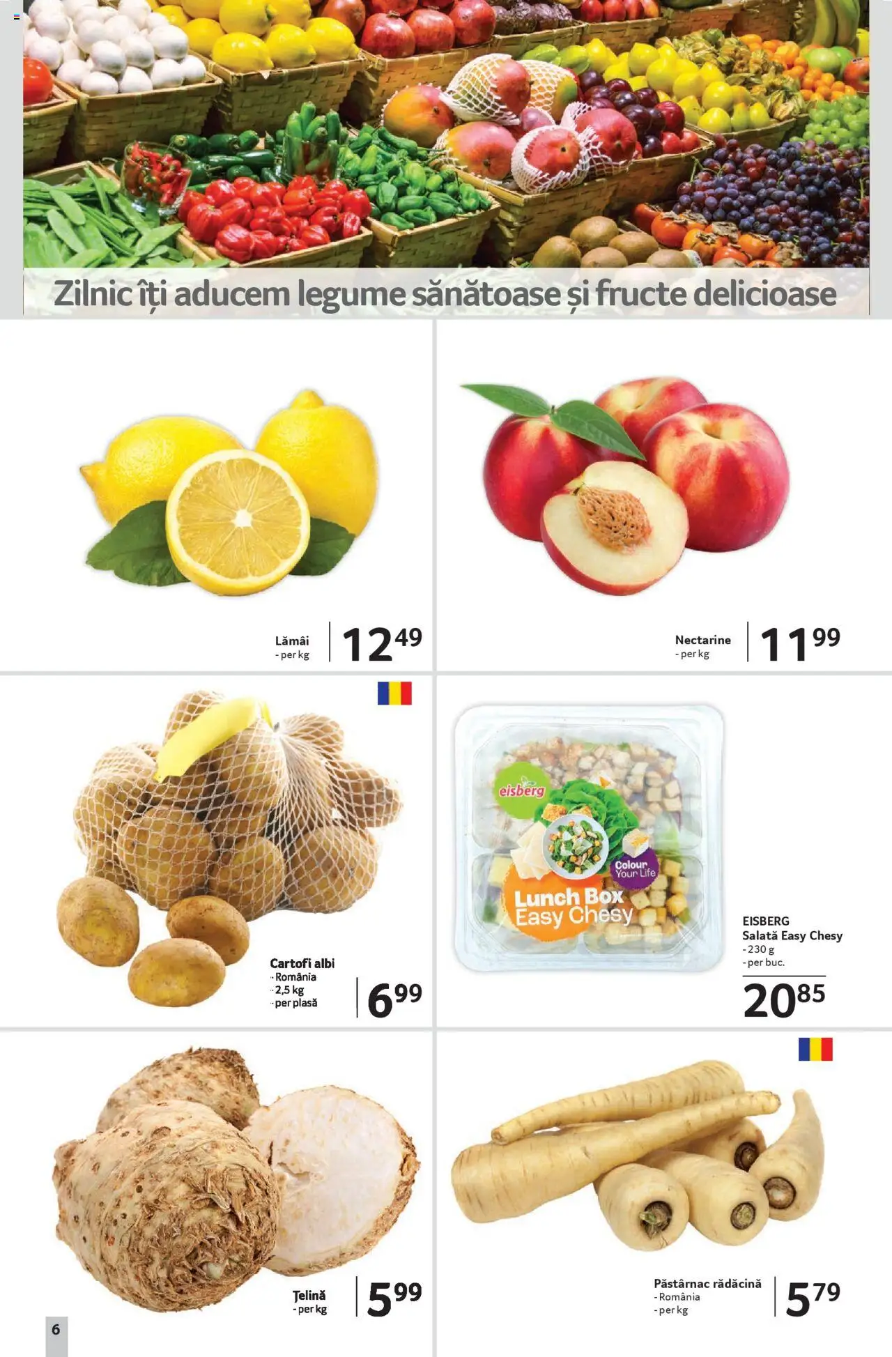 Catalog Selgros 8 - 20 August 2025 | Pagina 6 | Produse: Temizlik kovası, Țelină, Salată, Legume