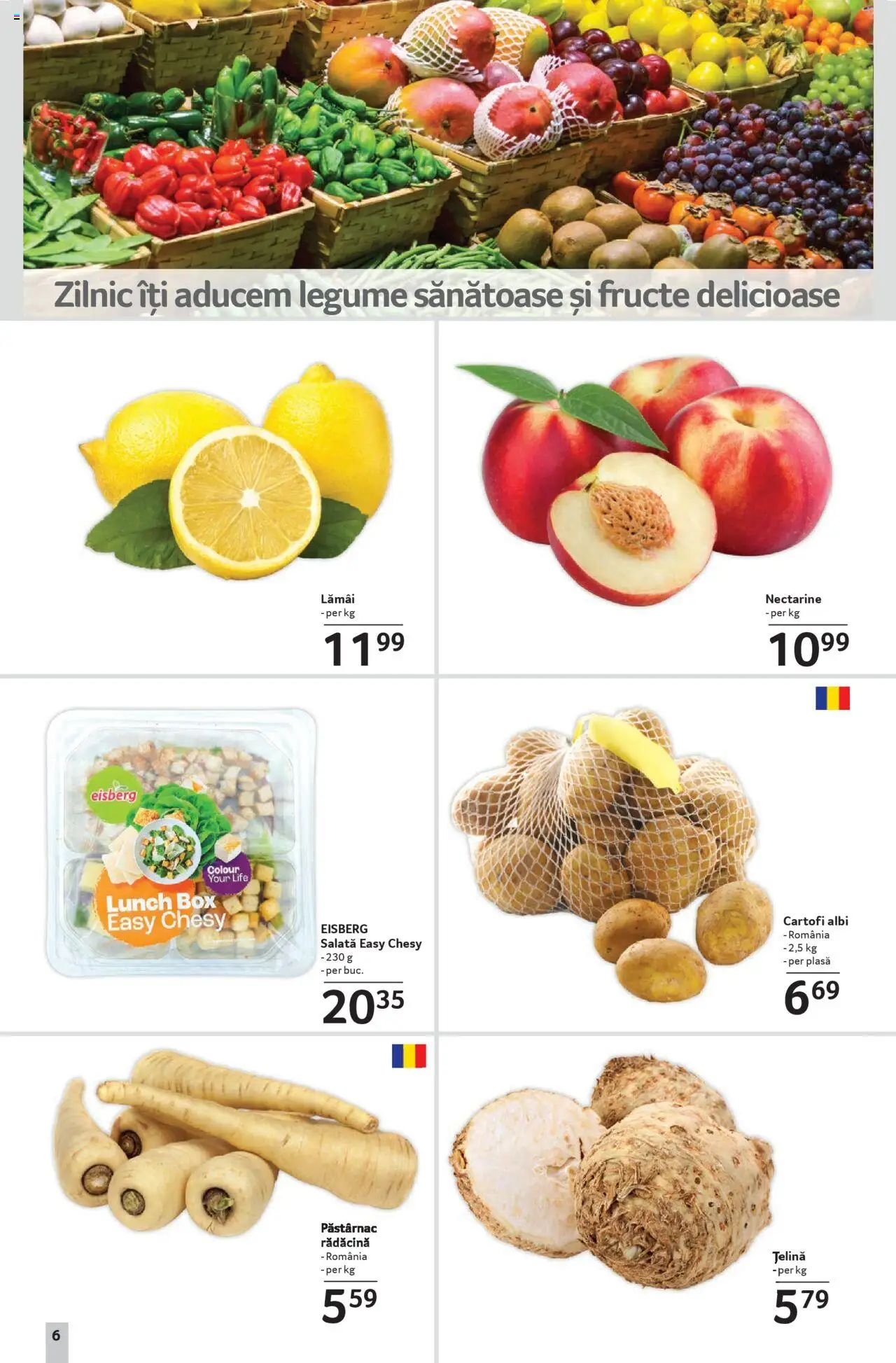 Catalog Selgros 8 - 20 August 2025 | Pagina 6 | Produse: Temizlik kovası, Press Kemik, Țelină, Legume