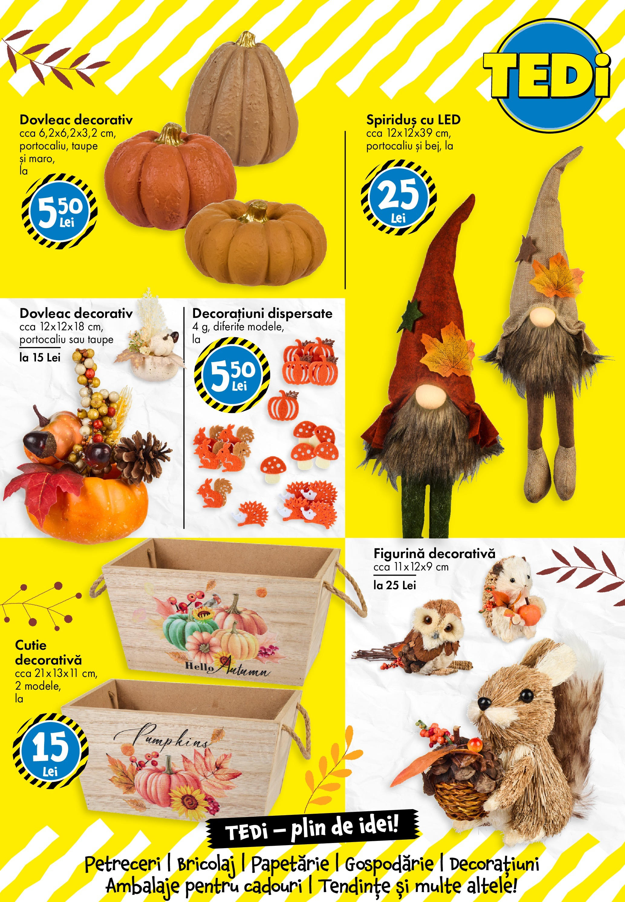 Catalog TEDi 8 - 14 August 2025 | Pagina 20 | Produse: Dovleac, Babak, Cutie