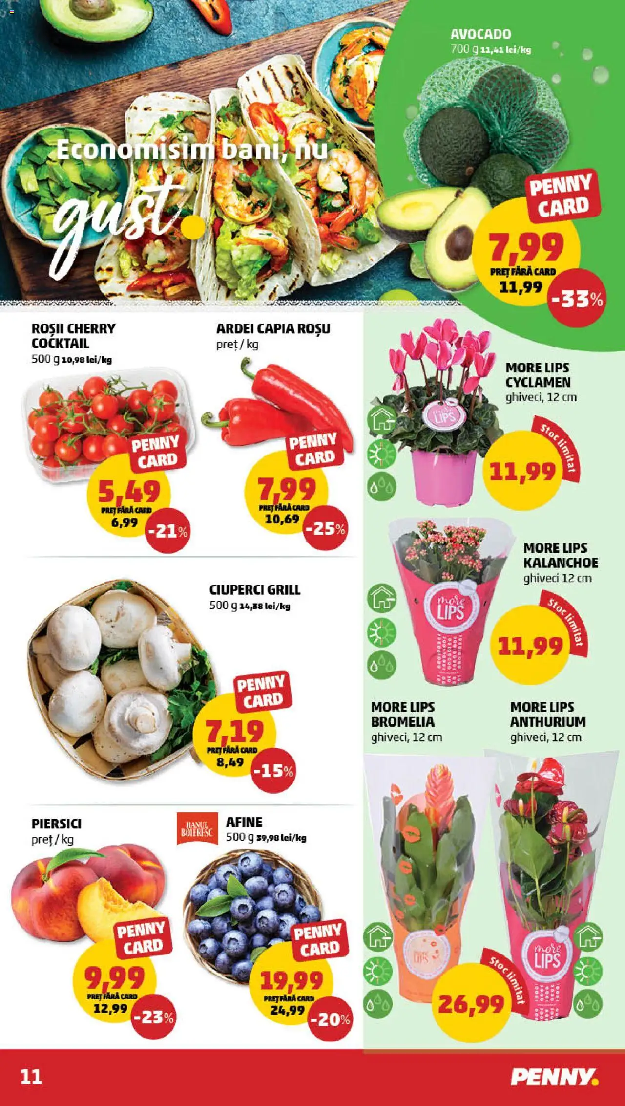 Catalog PENNY Market 13 - 18 August 2025 | Pagina 11 | Produse: Konuşturucu Kuş Yemleri, Cocktail, Roșii, Avocado