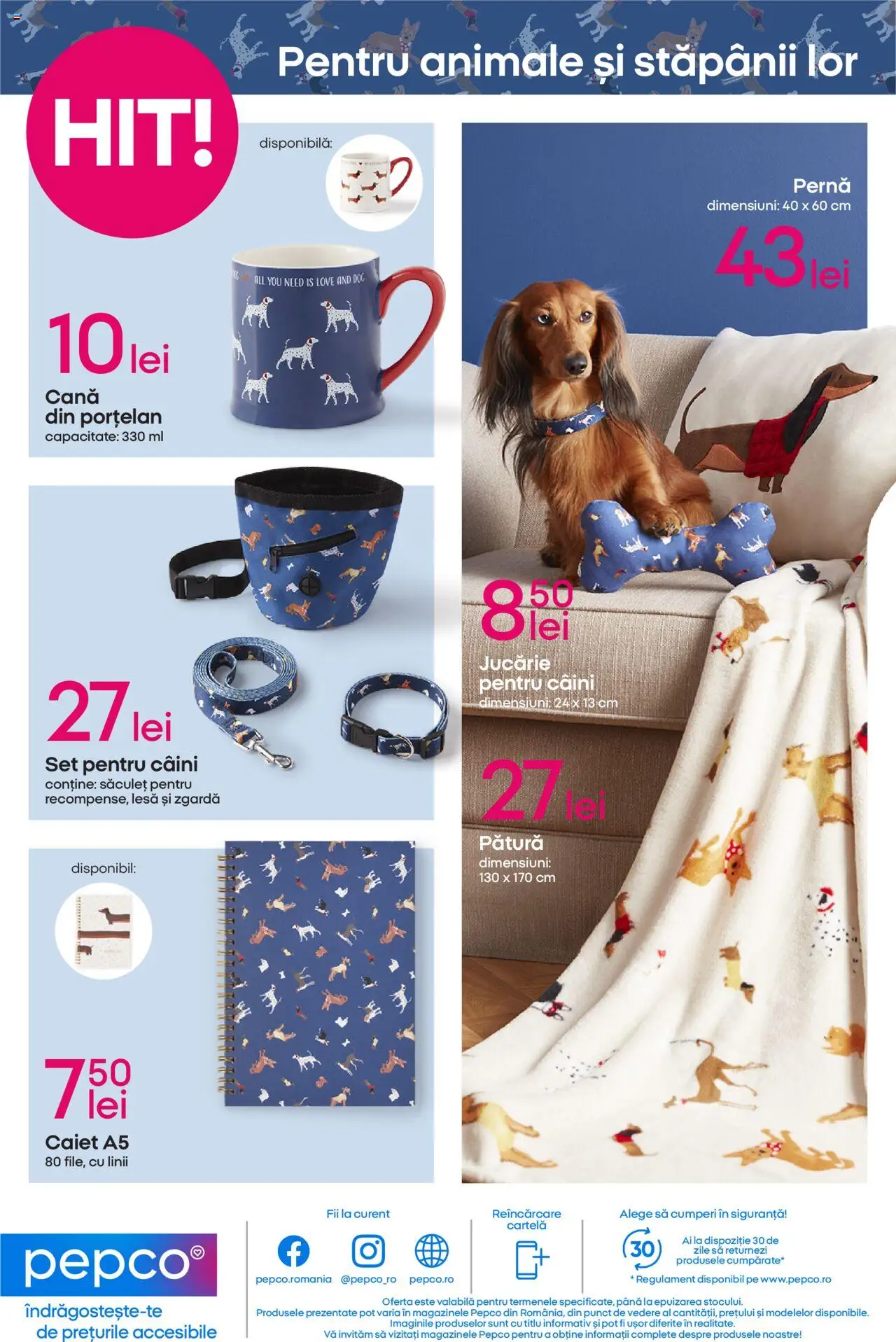 Catalog Pepco 14 - 26 August 2025 | Pagina 12 | Produse: Pernă, Pătură