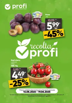 Catalog Profi