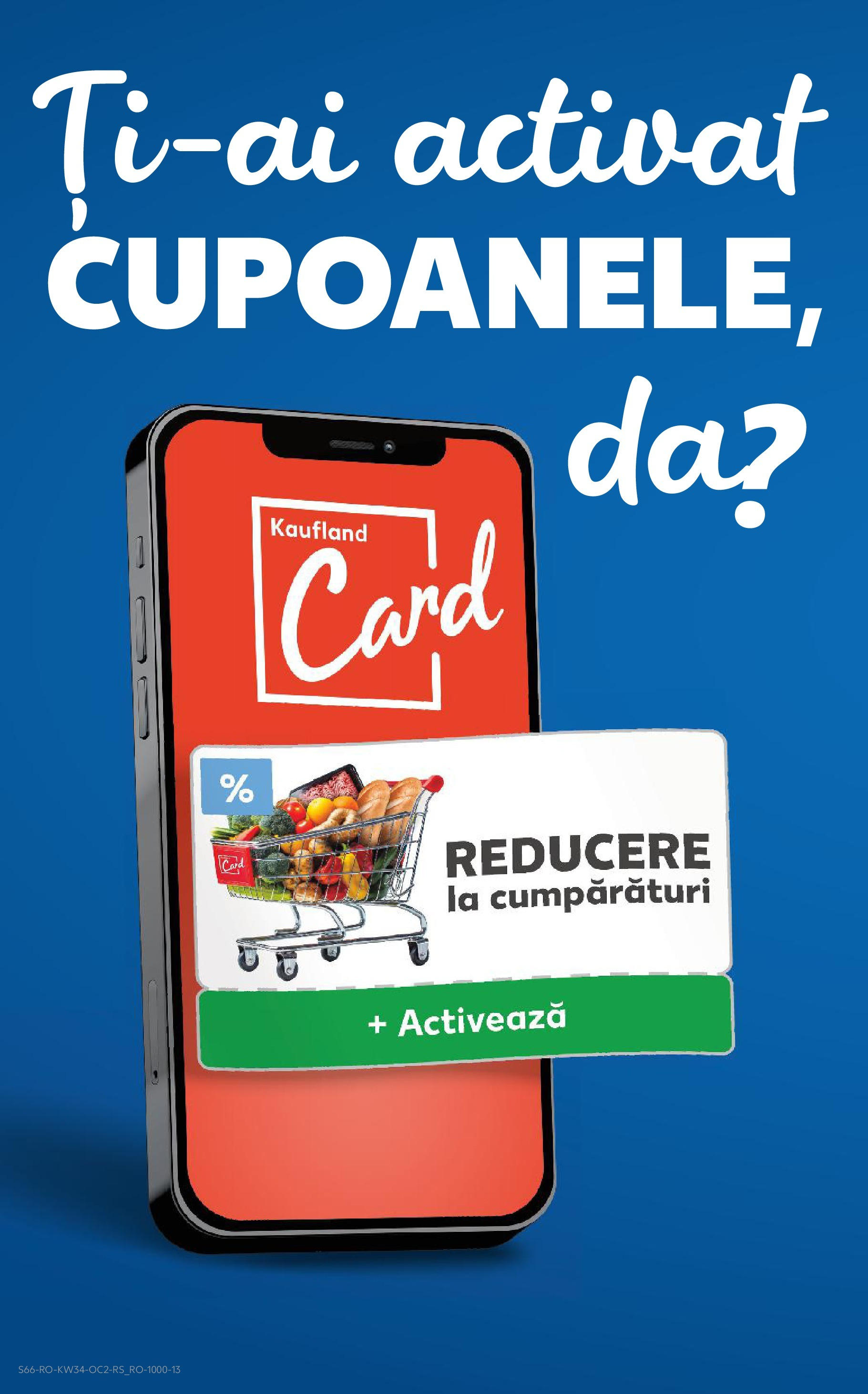 Catalog Kaufland 20 - 25 August 2025 | Pagina 66
