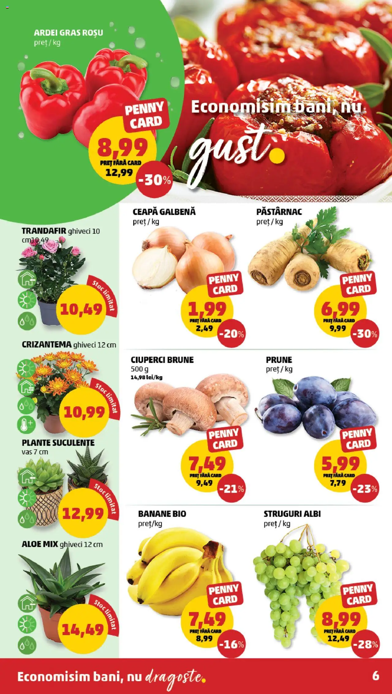 Catalog PENNY Market 20 - 25 August 2025 | Pagina 6 | Produse: Trandafir, Ceapă galbenă, Ghiveci, Ciuperci