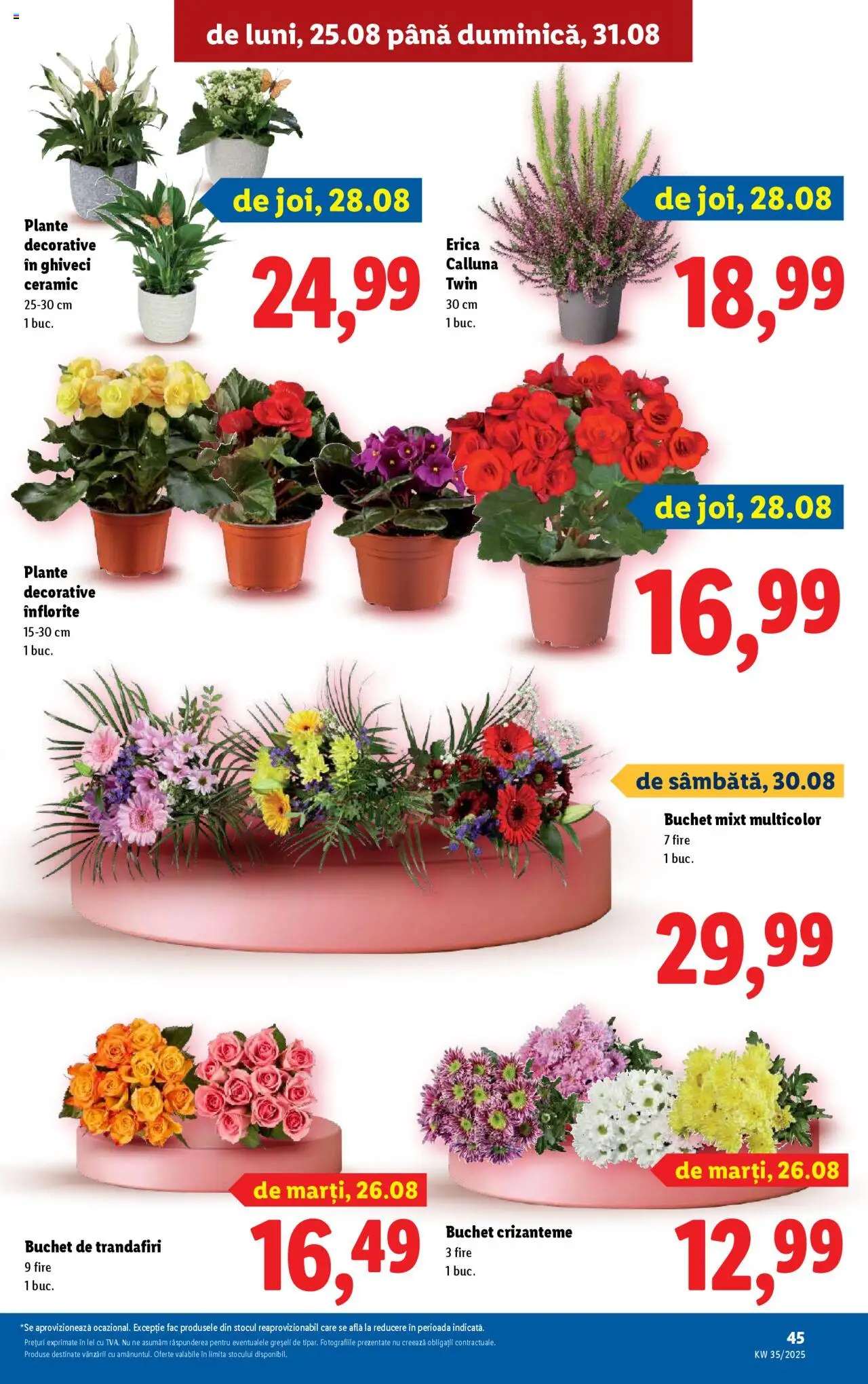 Catalog LIDL 25 - 30 August 2025 | Pagina 45 | Produse: Ghiveci