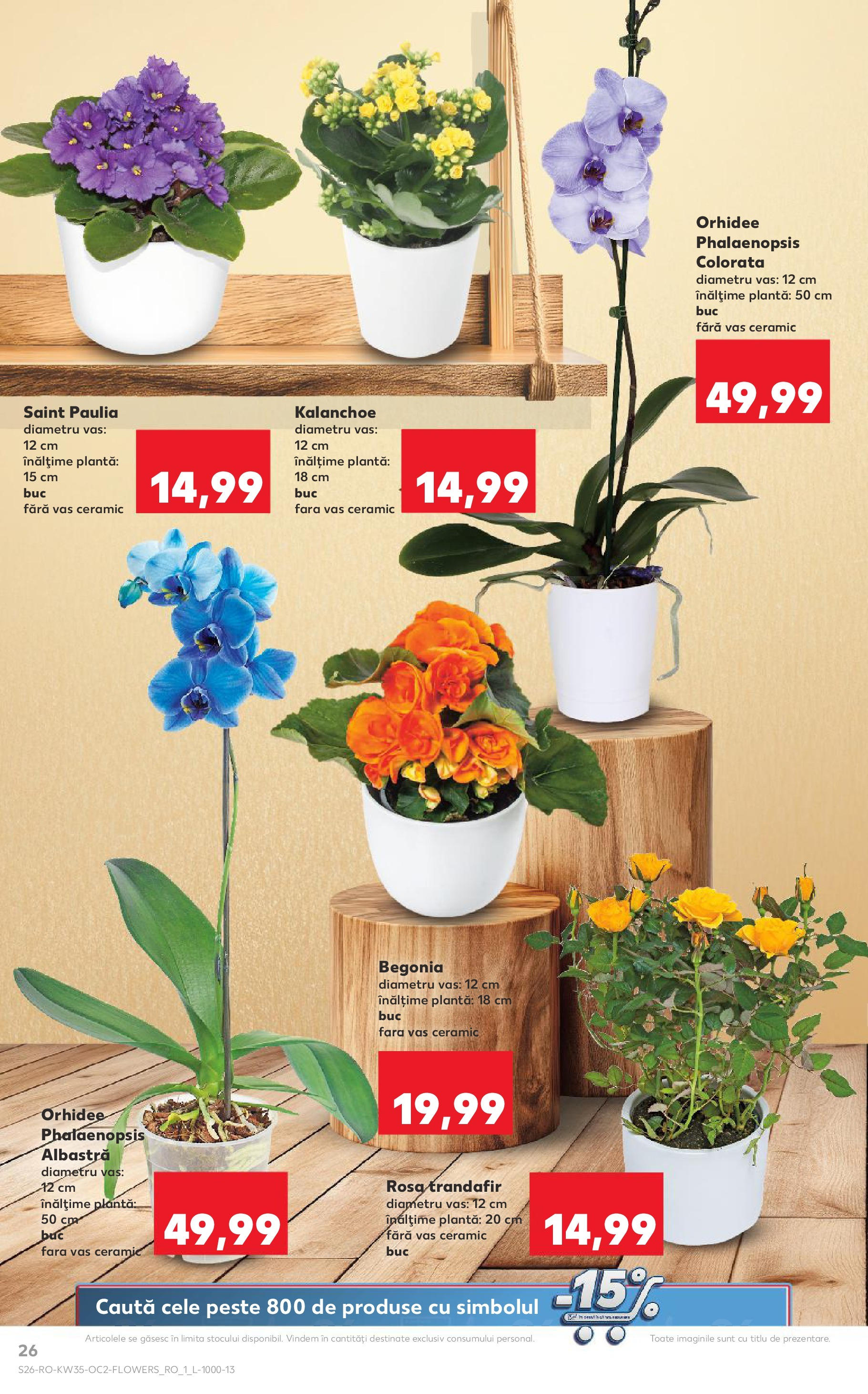 Catalog Kaufland 27 August - 1 Septembrie 2025 | Pagina 26 | Produse: Trandafir, Orhidee, Pește