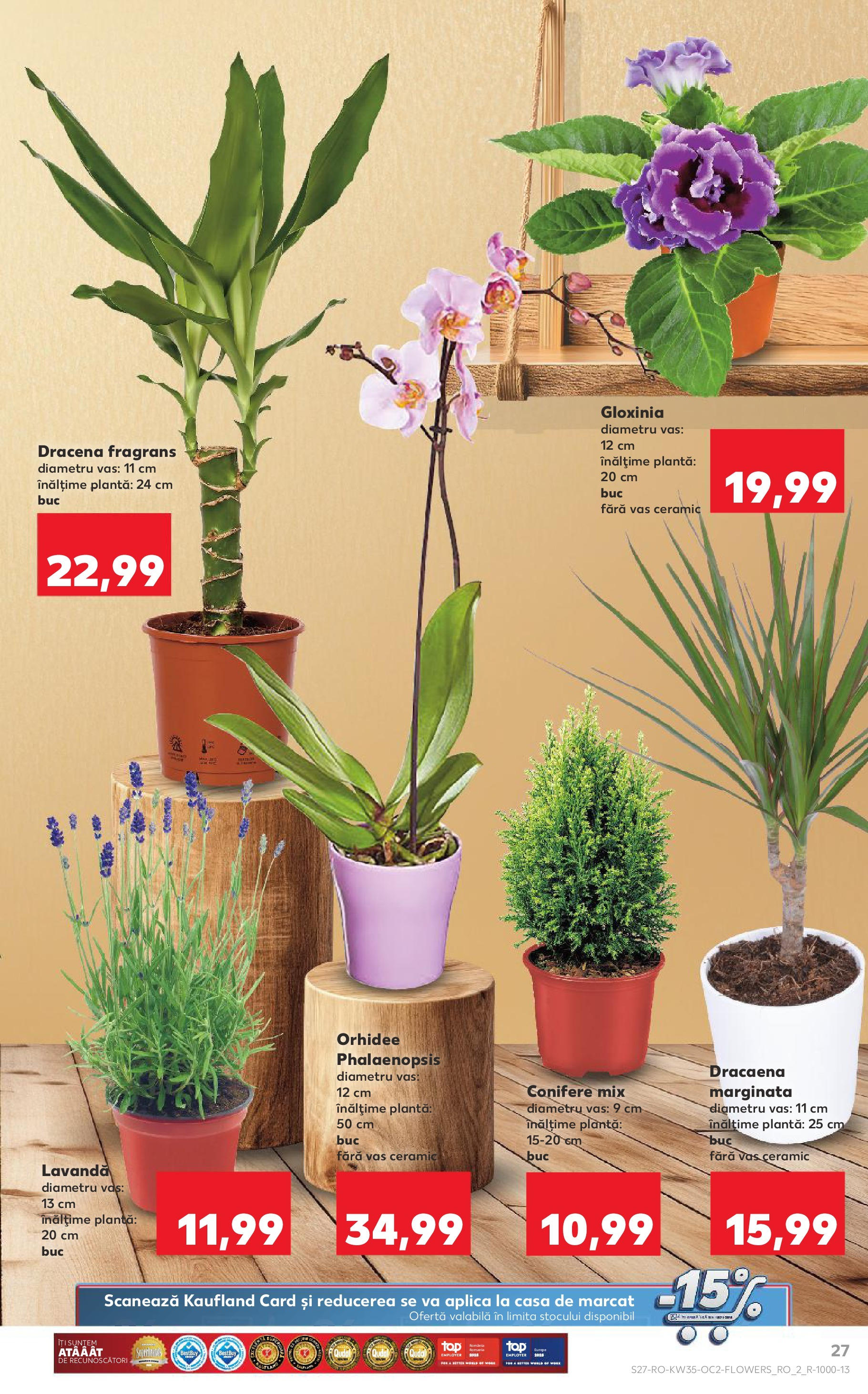 Catalog Kaufland 27 August - 1 Septembrie 2025 | Pagina 27 | Produse: Orhidee