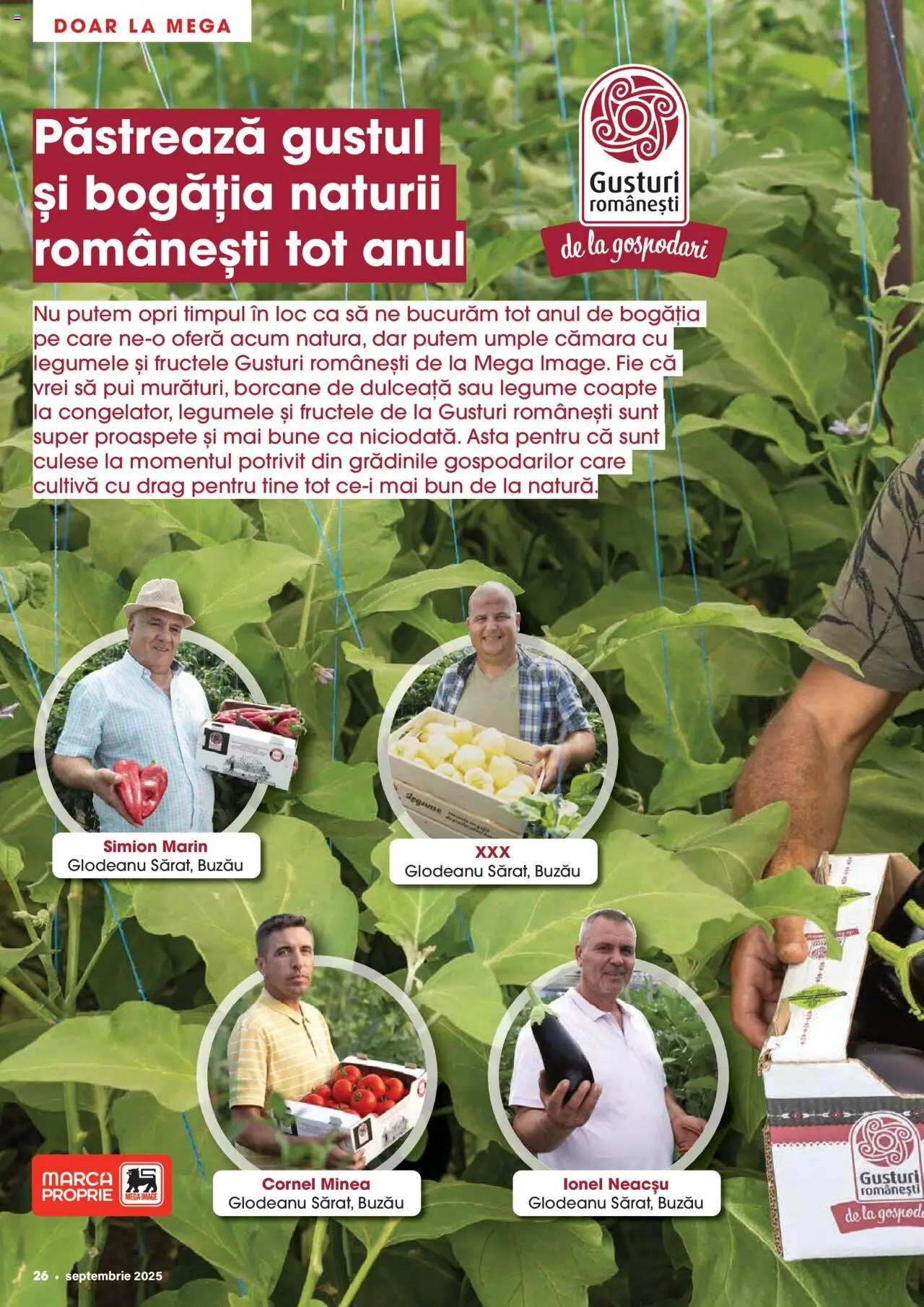 Catalog Mega Image 28 August - 29 Septembrie 2025 | Pagina 26 | Produse: Hacıyatmaz Kedi Oyuncağı, Legume