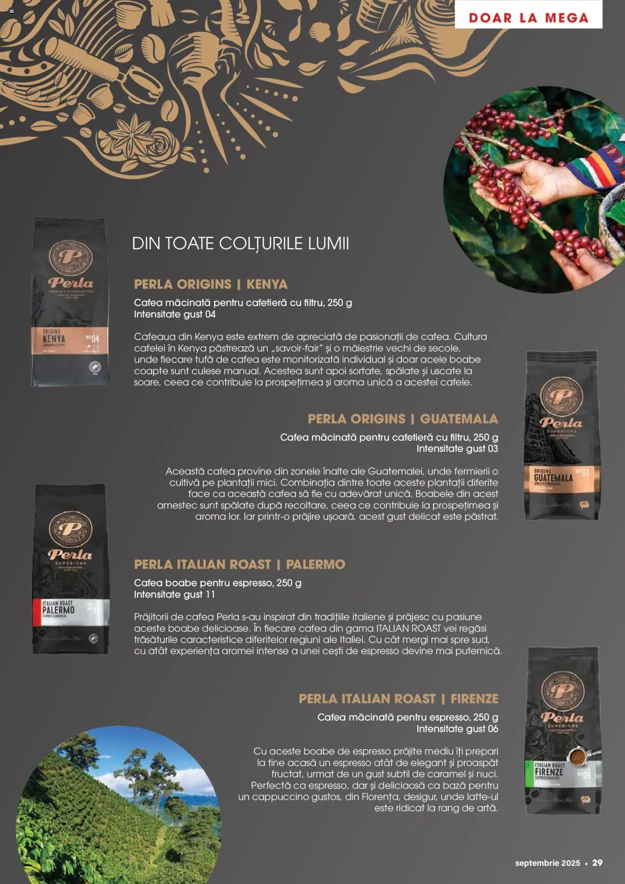 Catalog Mega Image 28 August - 29 Septembrie 2025 | Pagina 29 | Produse: Cafetieră, Cafea