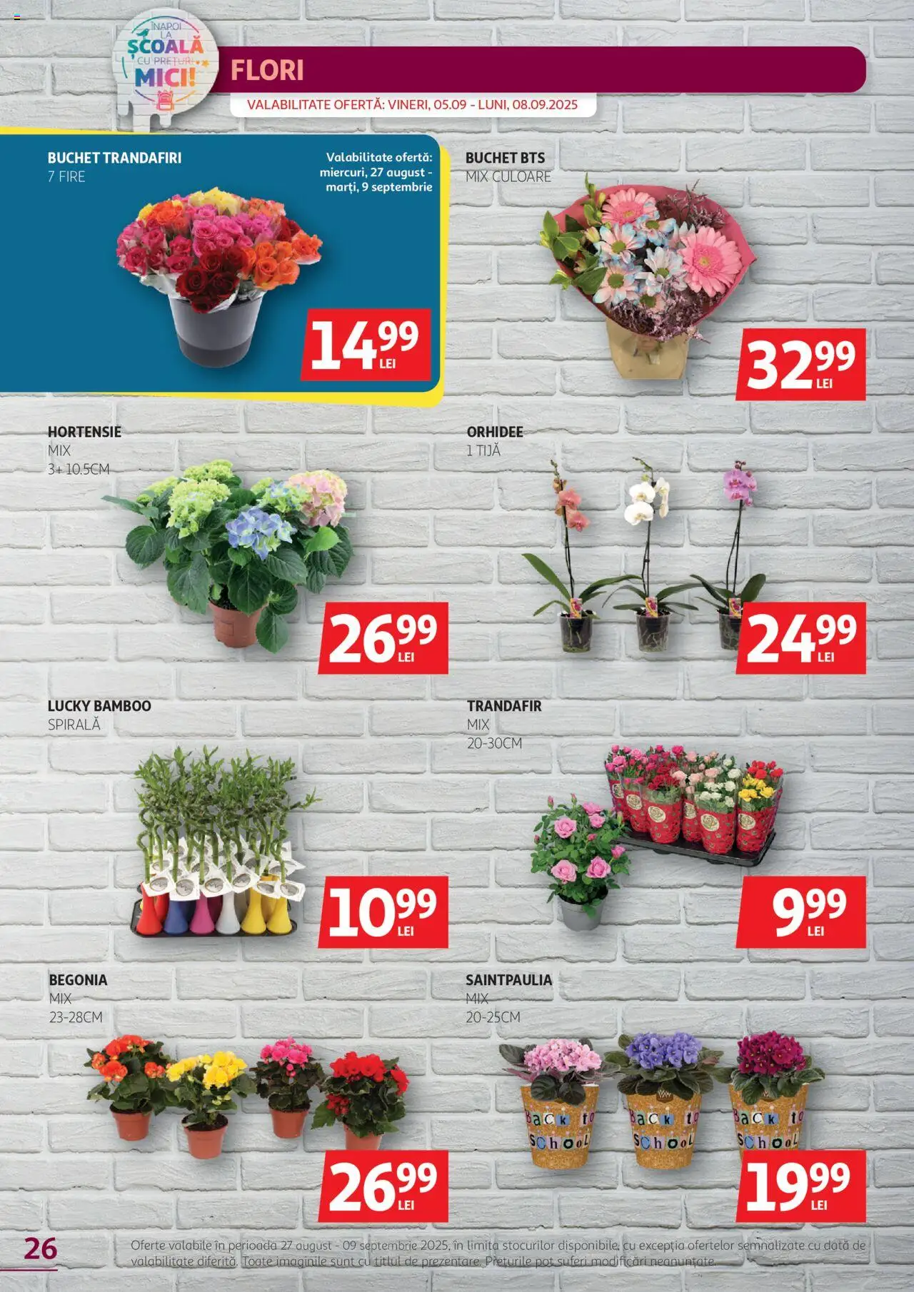 Catalog Auchan 27 August - 8 Septembrie 2025 | Pagina 26 | Produse: Trandafir, Orhidee, Mici, Yaşlı Köpek Konservesi
