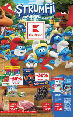 Catalog Kaufland