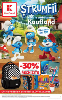 Catalog Kaufland