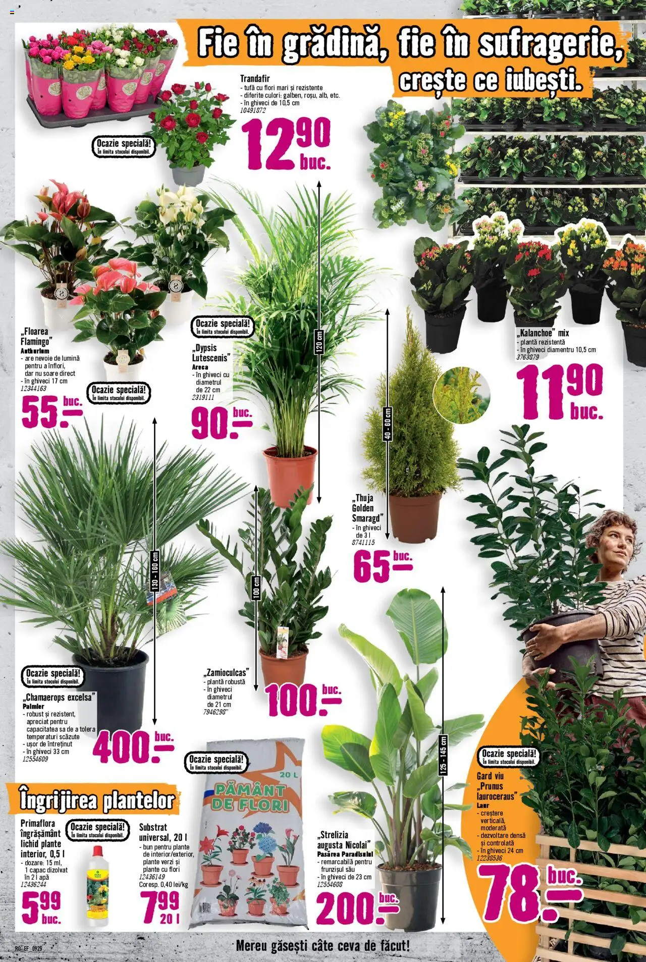 Catalog Hornbach 3 Septembrie - 1 Octombrie 2025 | Pagina 5 | Produse: Tavuk suyu, Trandafir, Ghiveci, Apă