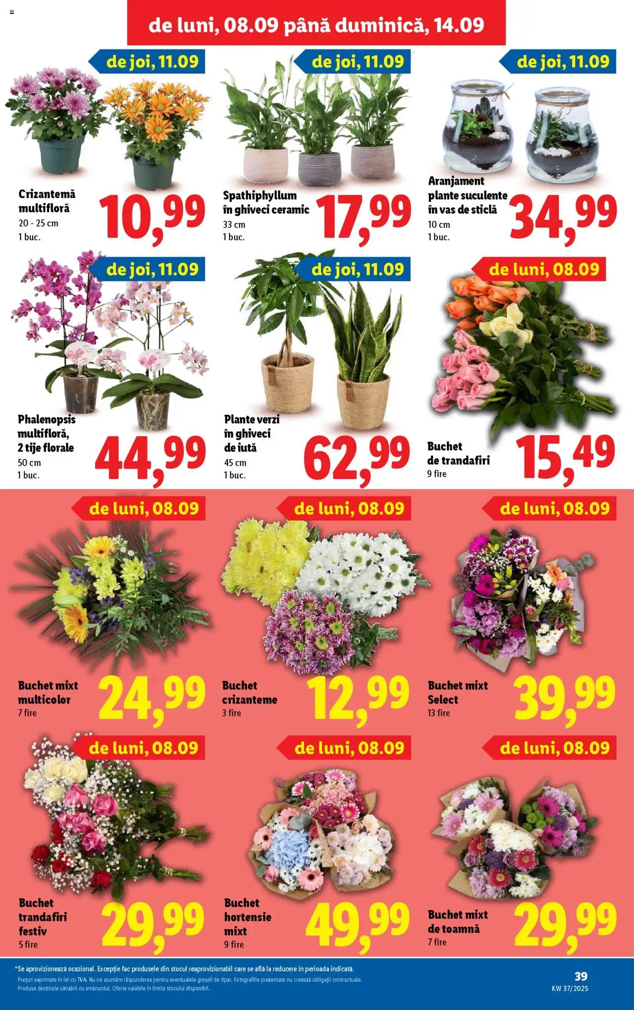 Catalog LIDL 8 - 13 Septembrie 2025 | Pagina 39 | Produse: Ghiveci