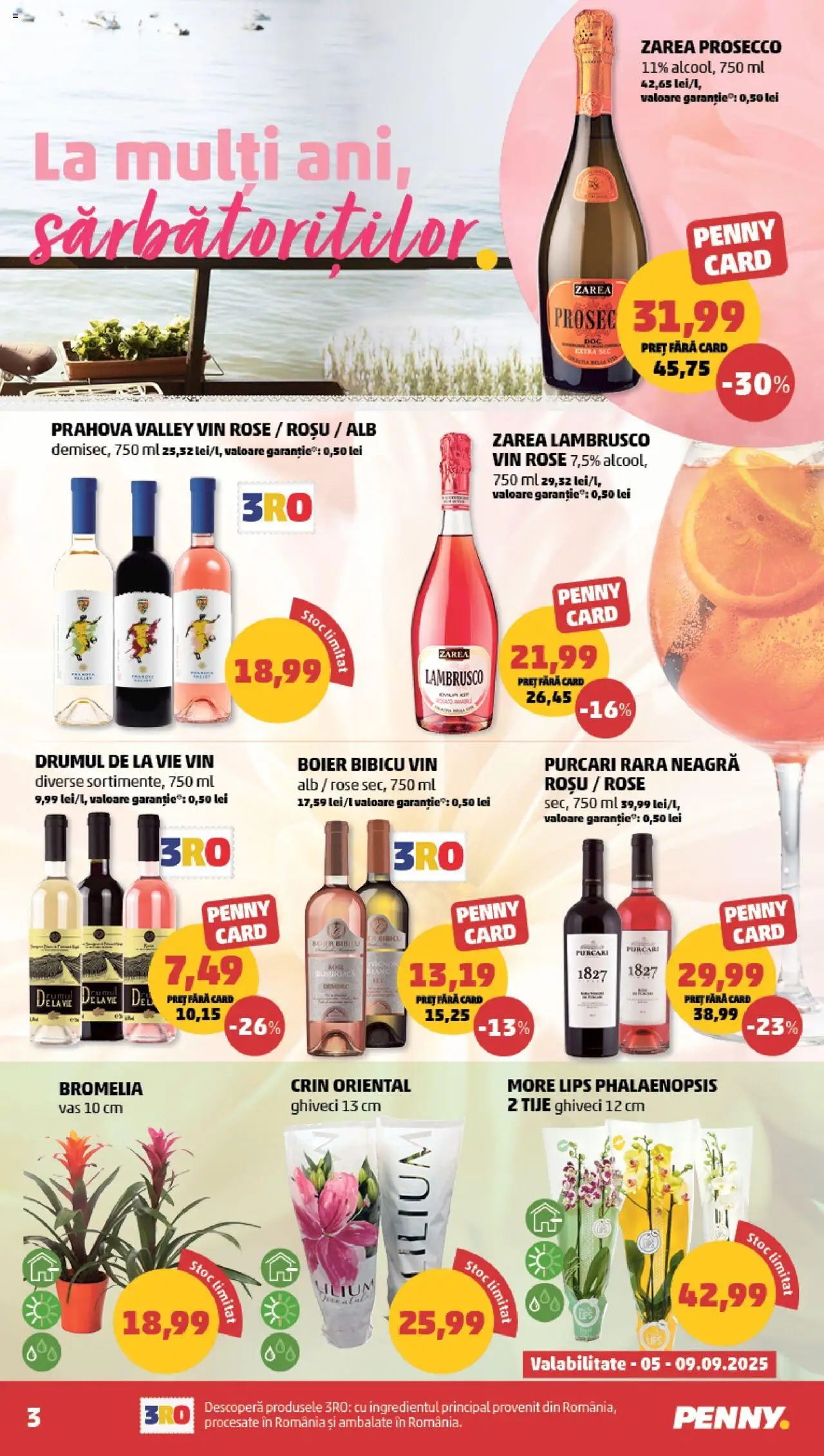Catalog PENNY Market 3 - 8 Septembrie 2025 | Pagina 3 | Produse: Bromelia, Ghiveci, Prosecco, Vin