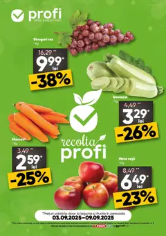 Catalog Profi
