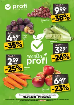 Catalog Profi