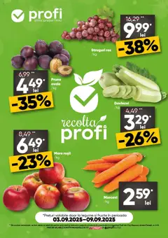 Catalog Profi