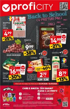 Catalog Profi