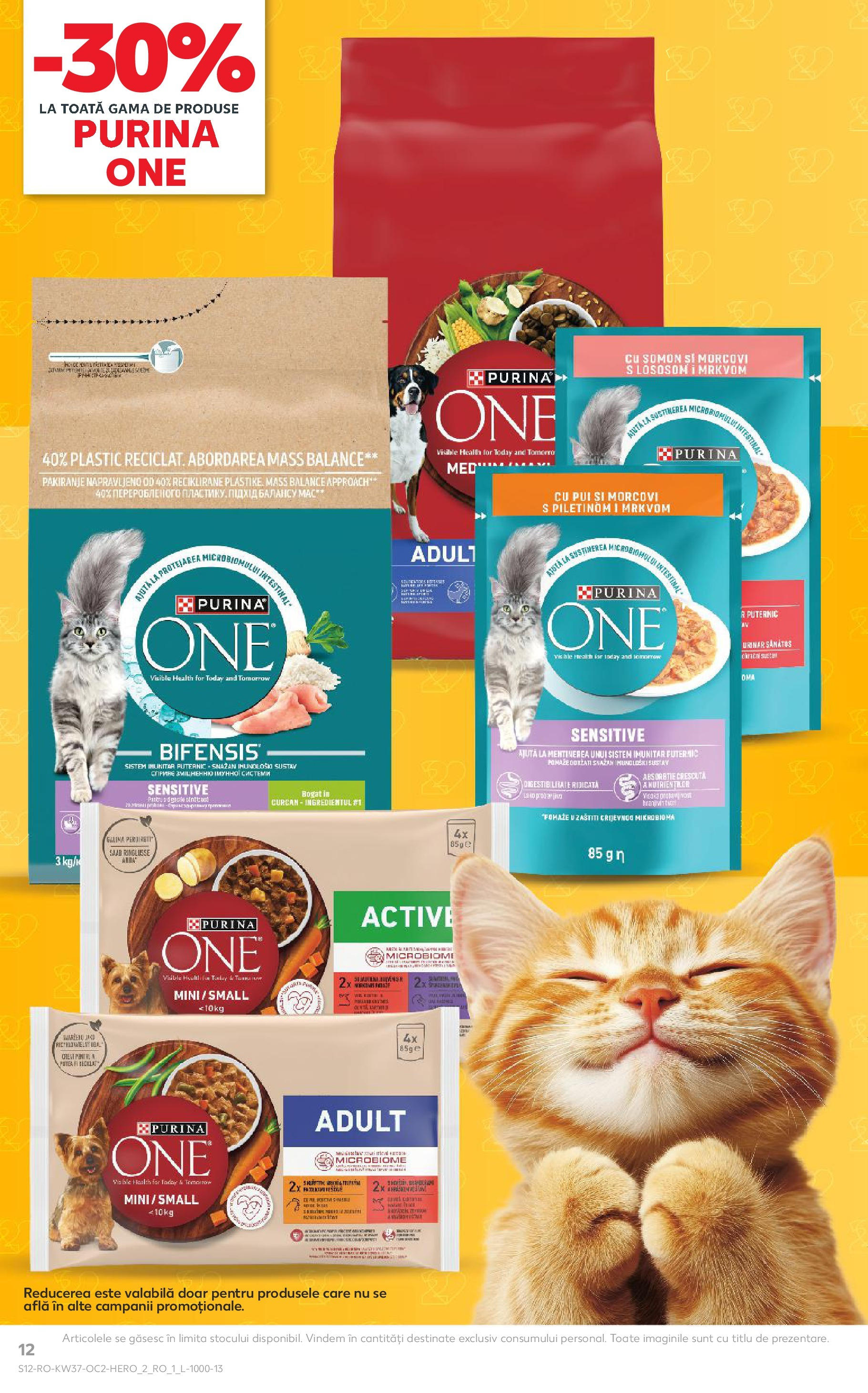 Catalog Kaufland 10 - 15 Septembrie 2025 | Pagina 12 | Produse: Hacıyatmaz Kedi Oyuncağı, Morcovi