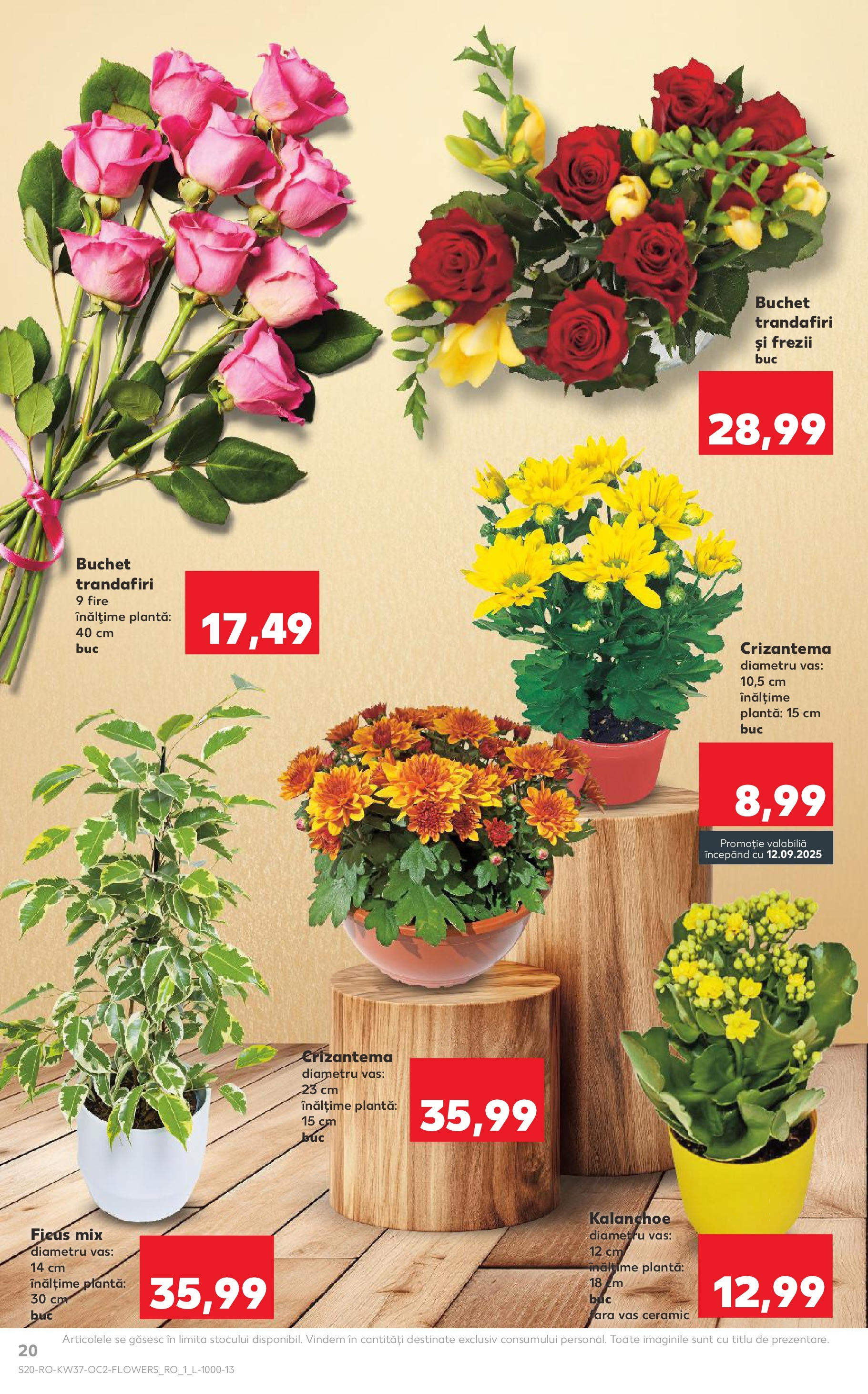 Catalog Kaufland 10 - 15 Septembrie 2025 | Pagina 20