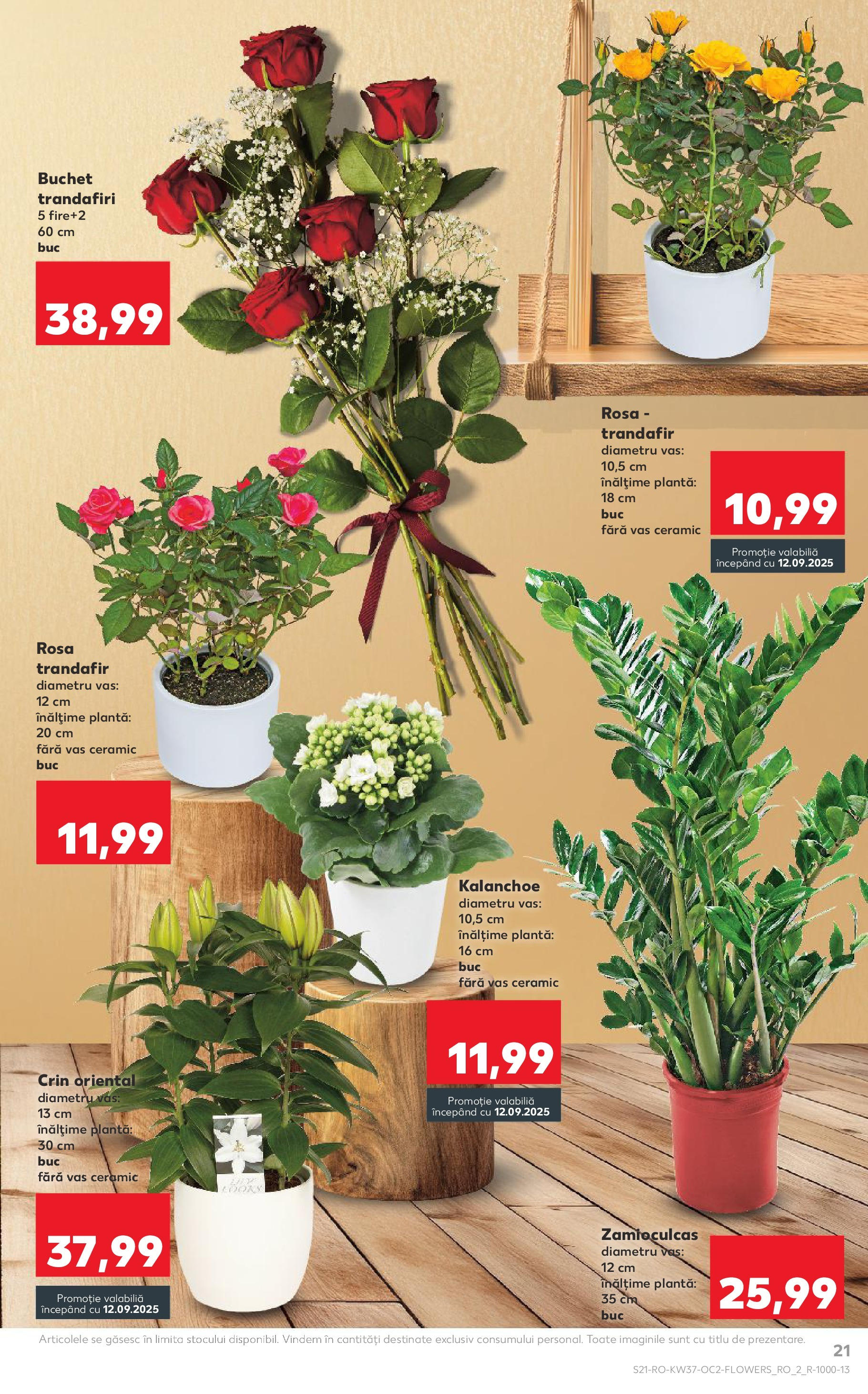 Catalog Kaufland 10 - 15 Septembrie 2025 | Pagina 21 | Produse: Trandafir
