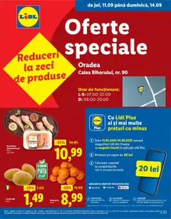 Catalog LIDL