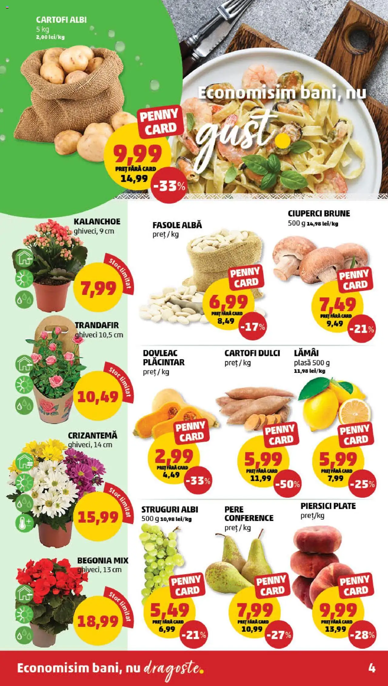 Catalog PENNY Market 10 - 15 Septembrie 2025 | Pagina 4 | Produse: Struguri, Trandafir, Taneli organik hardal, Ghiveci
