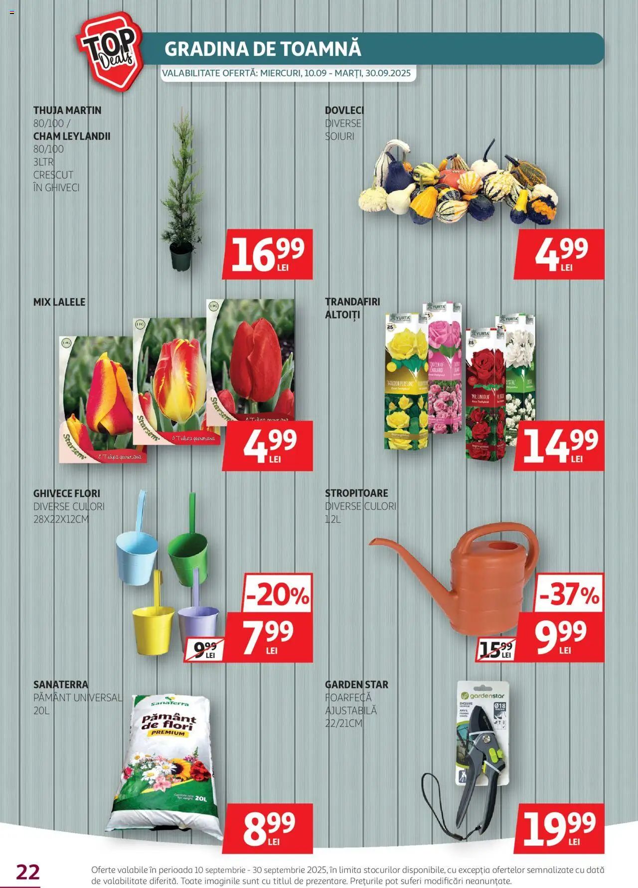 Catalog Auchan 10 - 29 Septembrie 2025 | Pagina 22 | Produse: Ghiveci