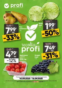 Catalog Profi