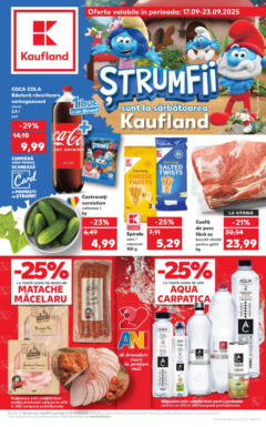 Catalog Kaufland