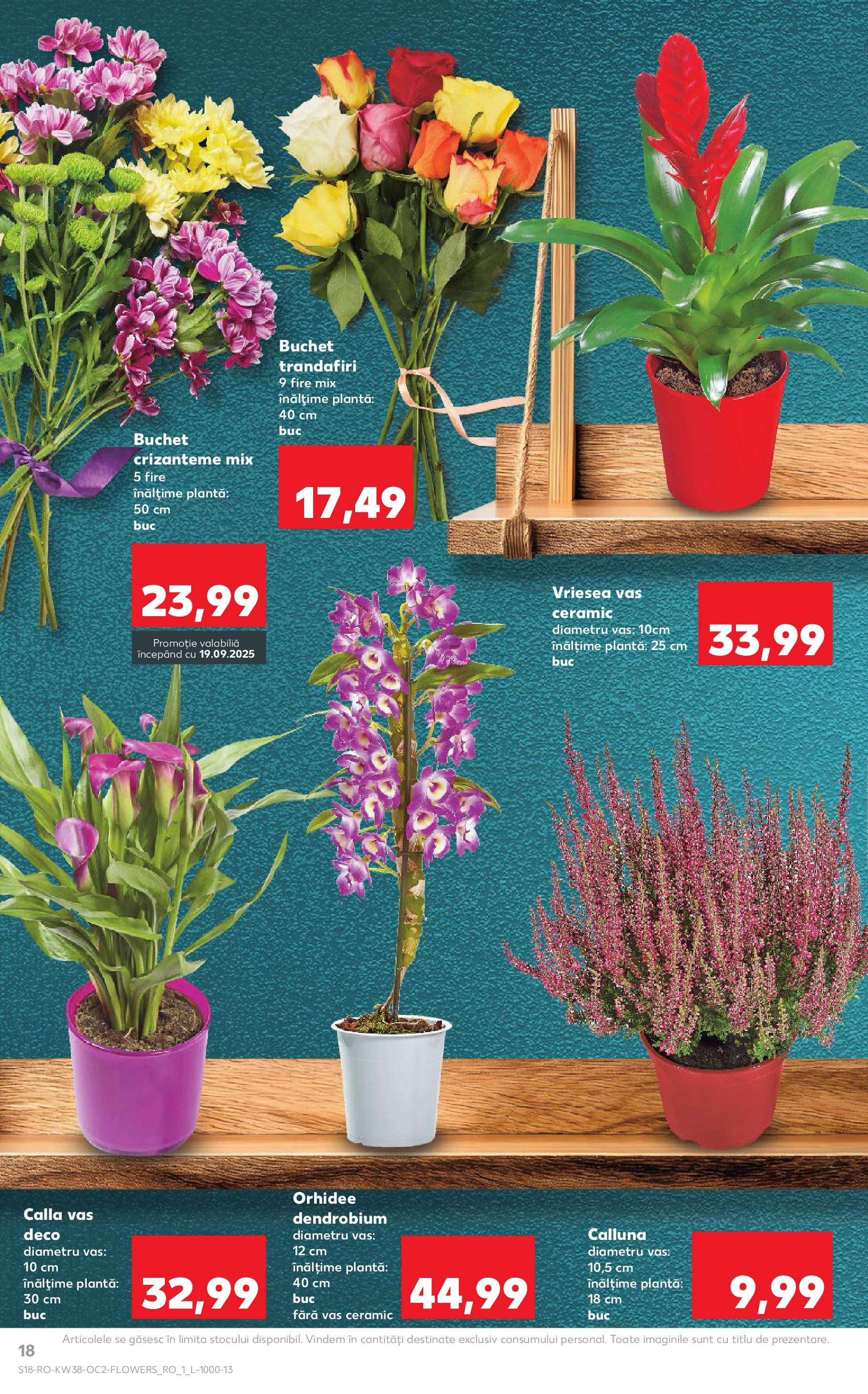 Catalog Kaufland 17 - 22 Septembrie 2025 | Pagina 18 | Produse: Orhidee