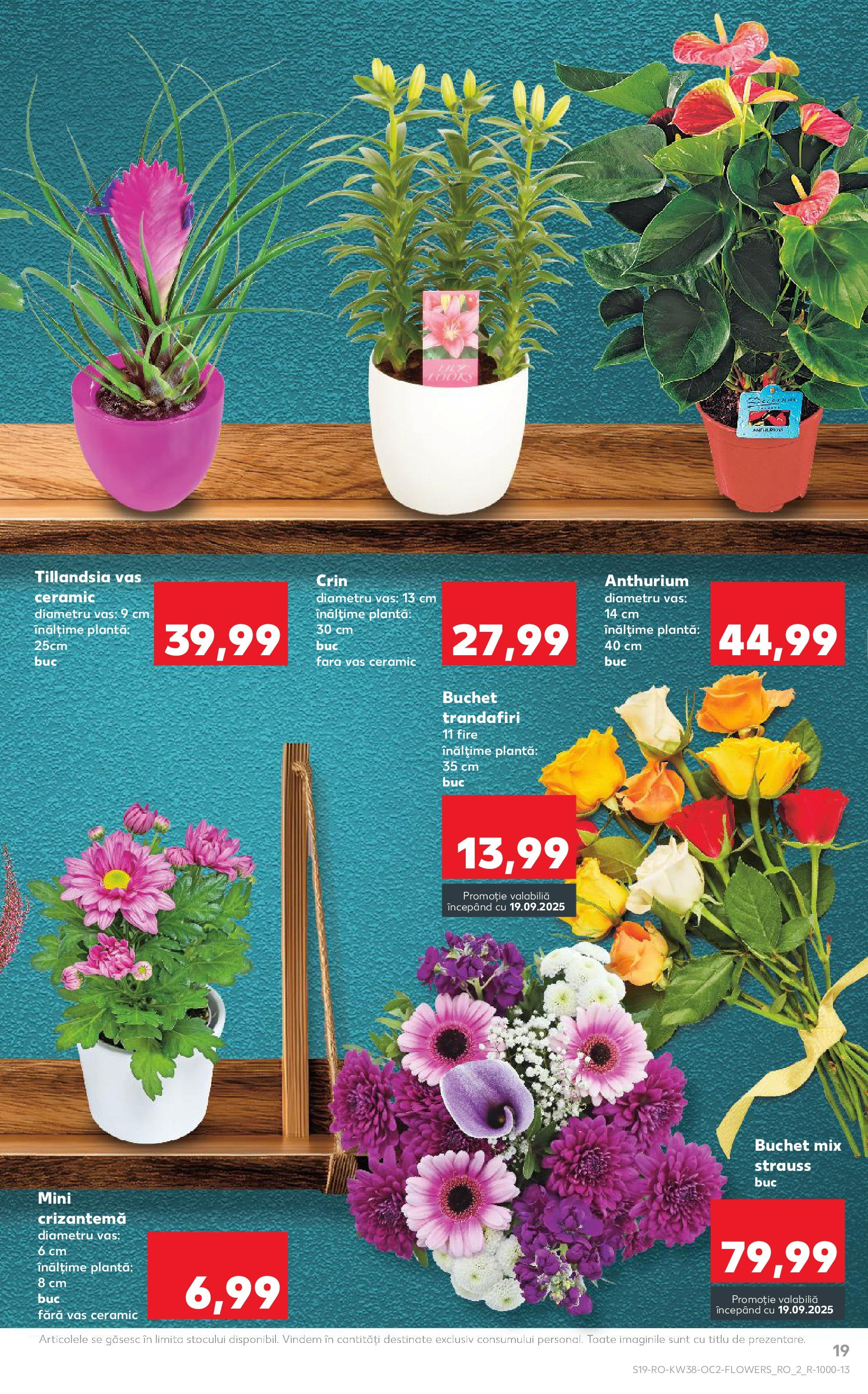 Catalog Kaufland 17 - 22 Septembrie 2025 | Pagina 19