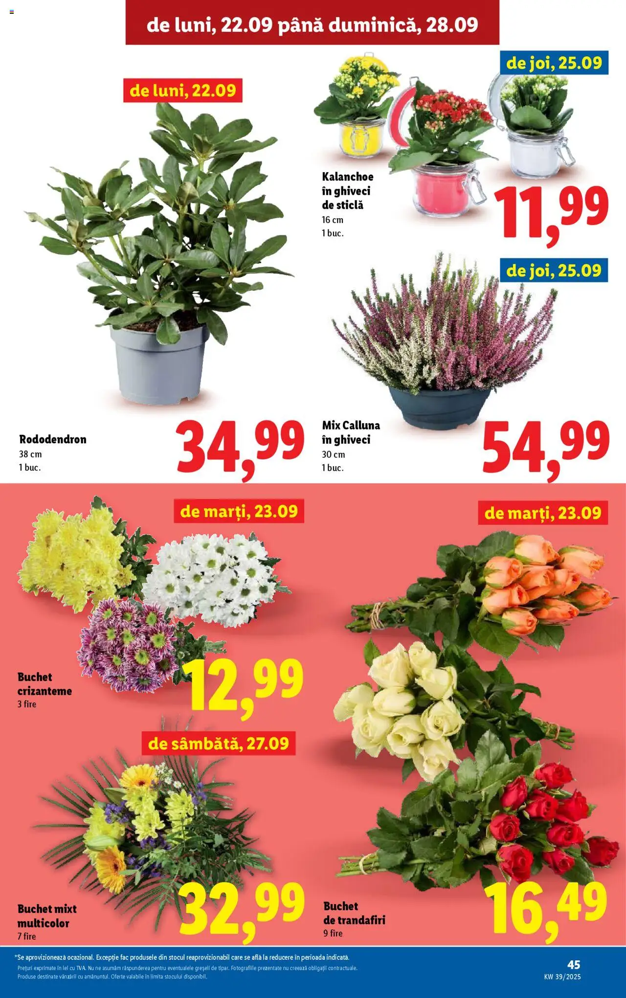 Catalog LIDL 22 - 27 Septembrie 2025 | Pagina 45 | Produse: Ghiveci