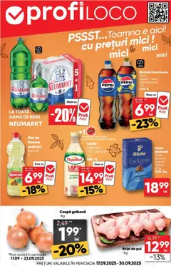 Catalog Profi