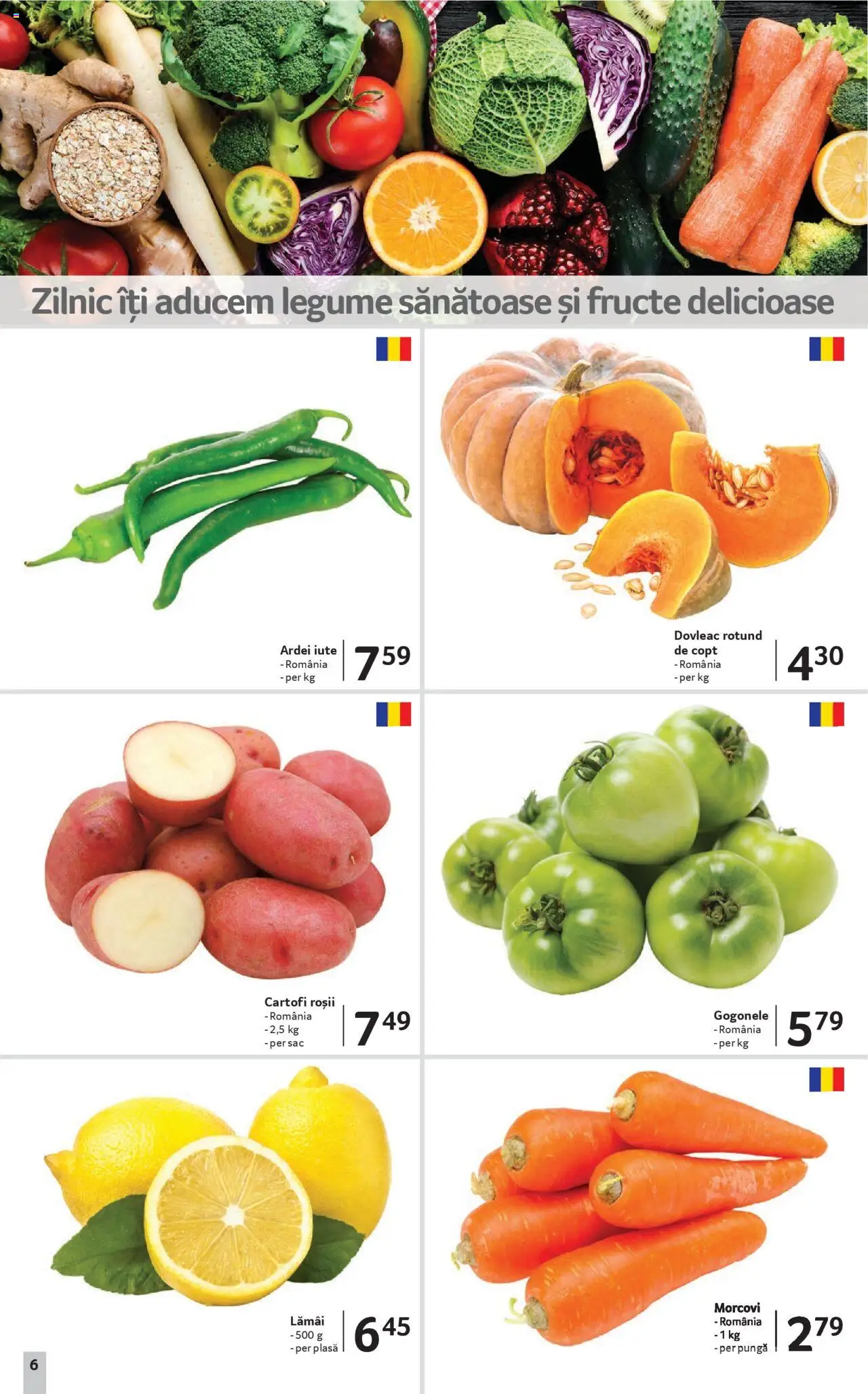 Catalog Selgros 19 Septembrie - 1 Octombrie 2025 | Pagina 6 | Produse: Dovleac, Morcovi, Cartofi, Fructe