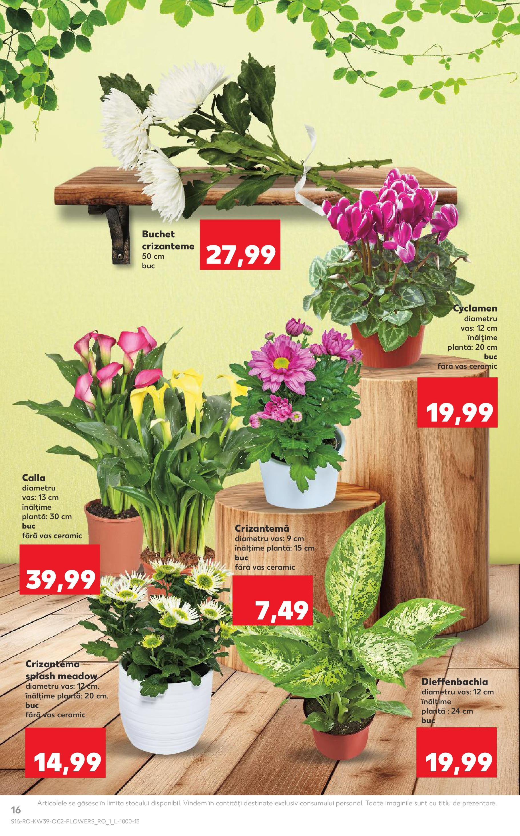 Catalog Kaufland 24 - 29 Septembrie 2025 | Pagina 16