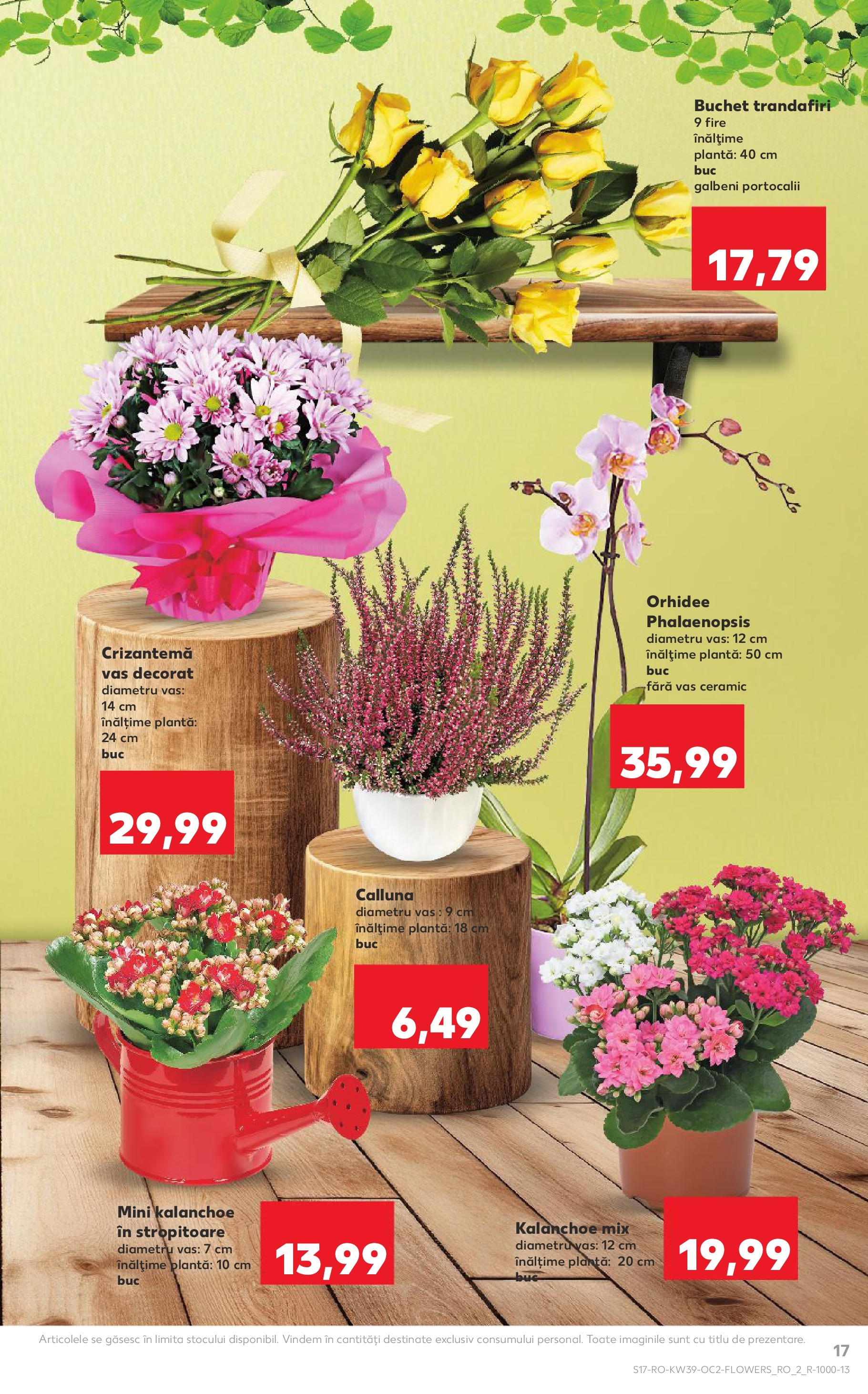 Catalog Kaufland 24 - 29 Septembrie 2025 | Pagina 17 | Produse: Orhidee